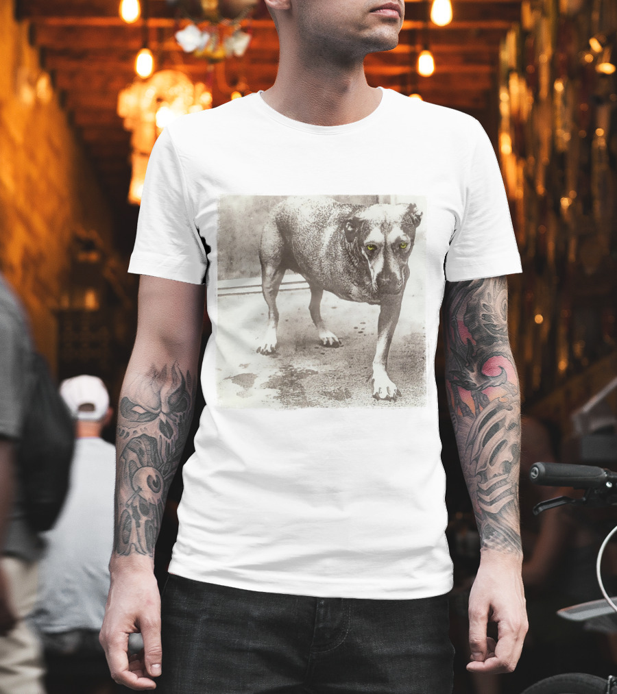 Dog With Yellow Eyes Aic T-Shirt