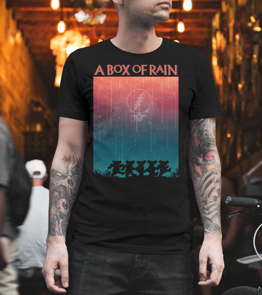 A Box of Rain Grateful Dead Dancing Bears Steal Your Face T-Shirt