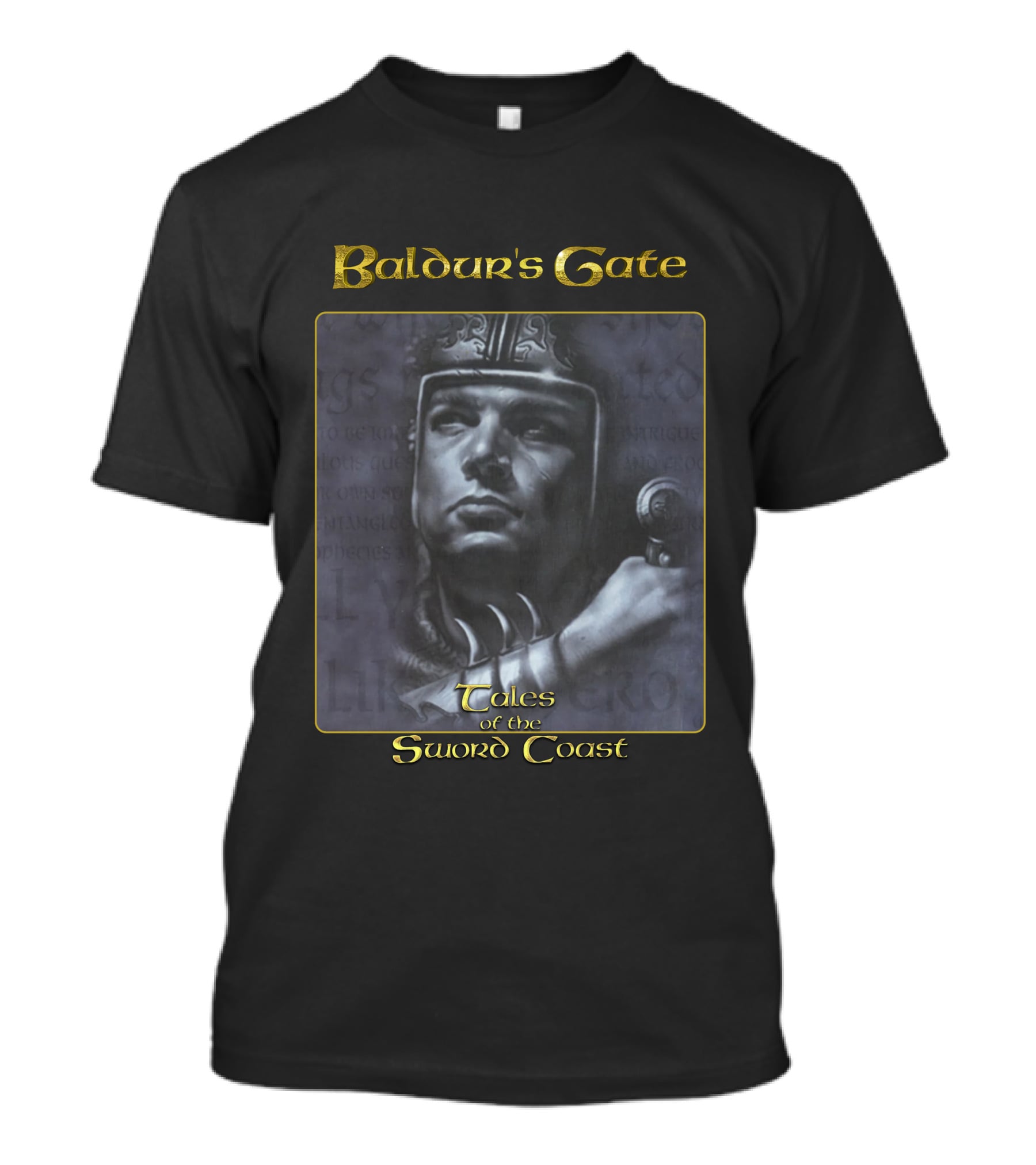 Baldur's Gate Tales Of The Sword Coast Warrior T-Shirt