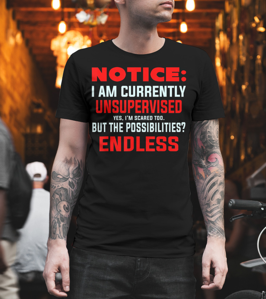 NOTICE I Am Currently Unsupervised Yes I'm Scared Too But The Possibilities Endless T-Shirt