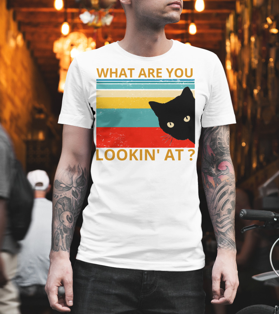 What Are You Lookin' At Black Cat Vintage Stripes T-Shirt