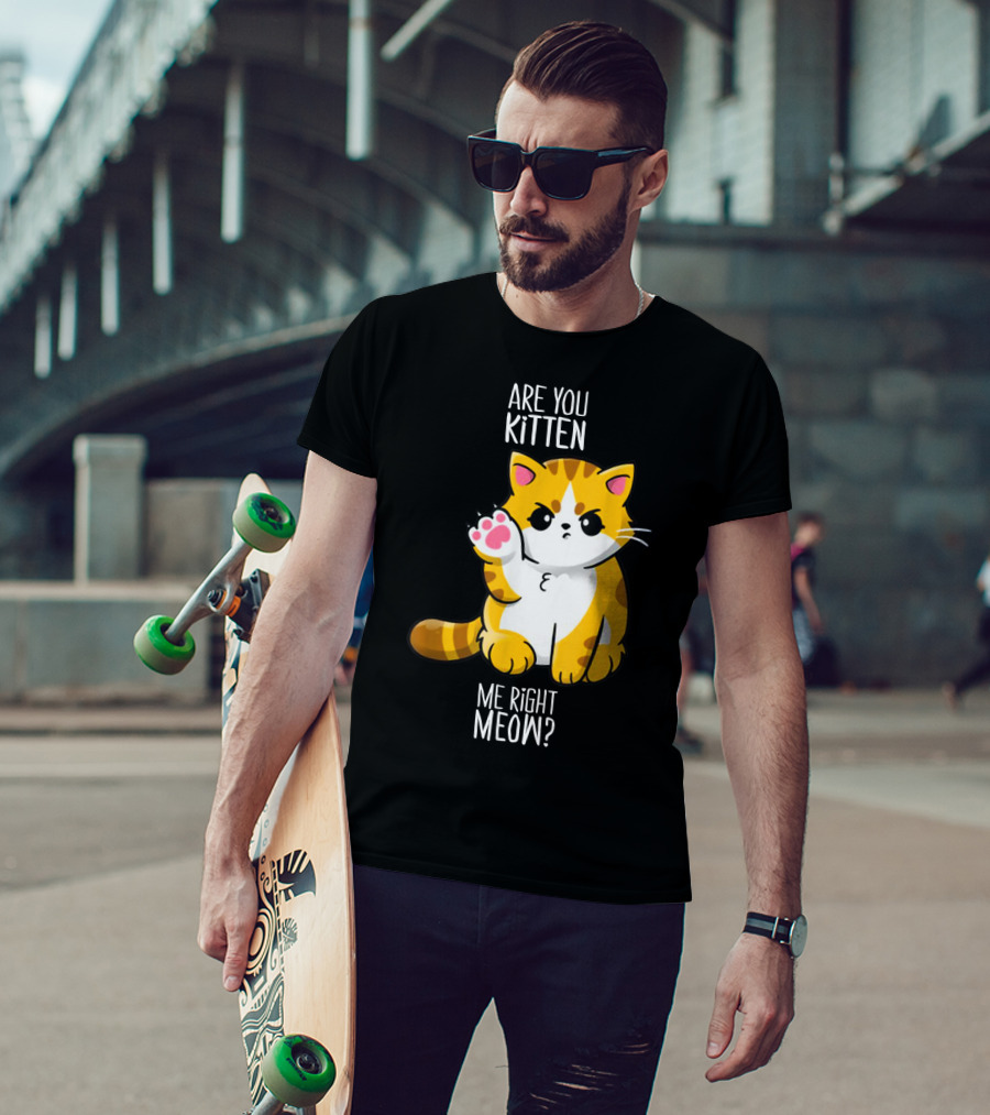 Are You Kitten Me Right Meow Cute Kitty T-Shirt