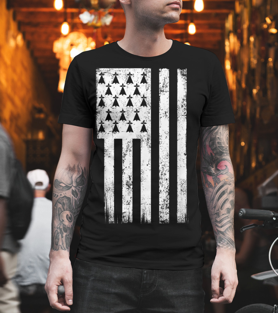 Bretagne Flag Distressed Bretagne Region Of France T-Shirt