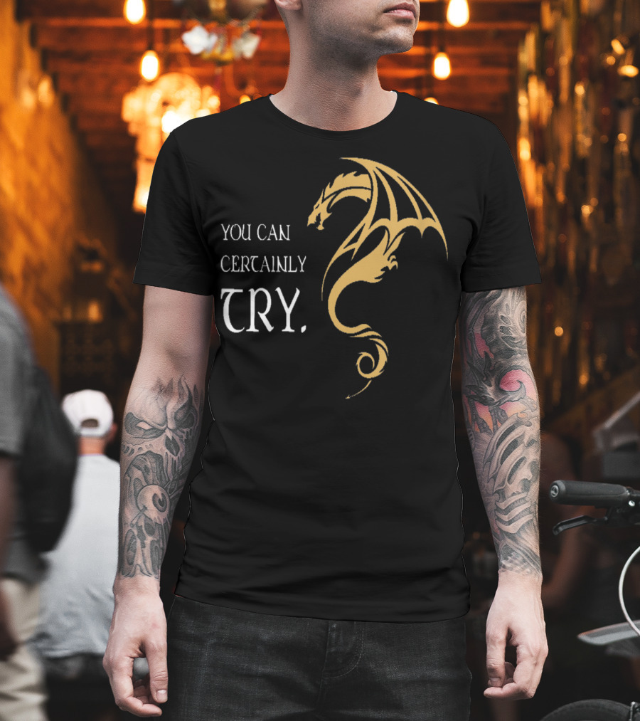 You Can Certainly Try Dragon Fire Dungeons Fantasy T-Shirt