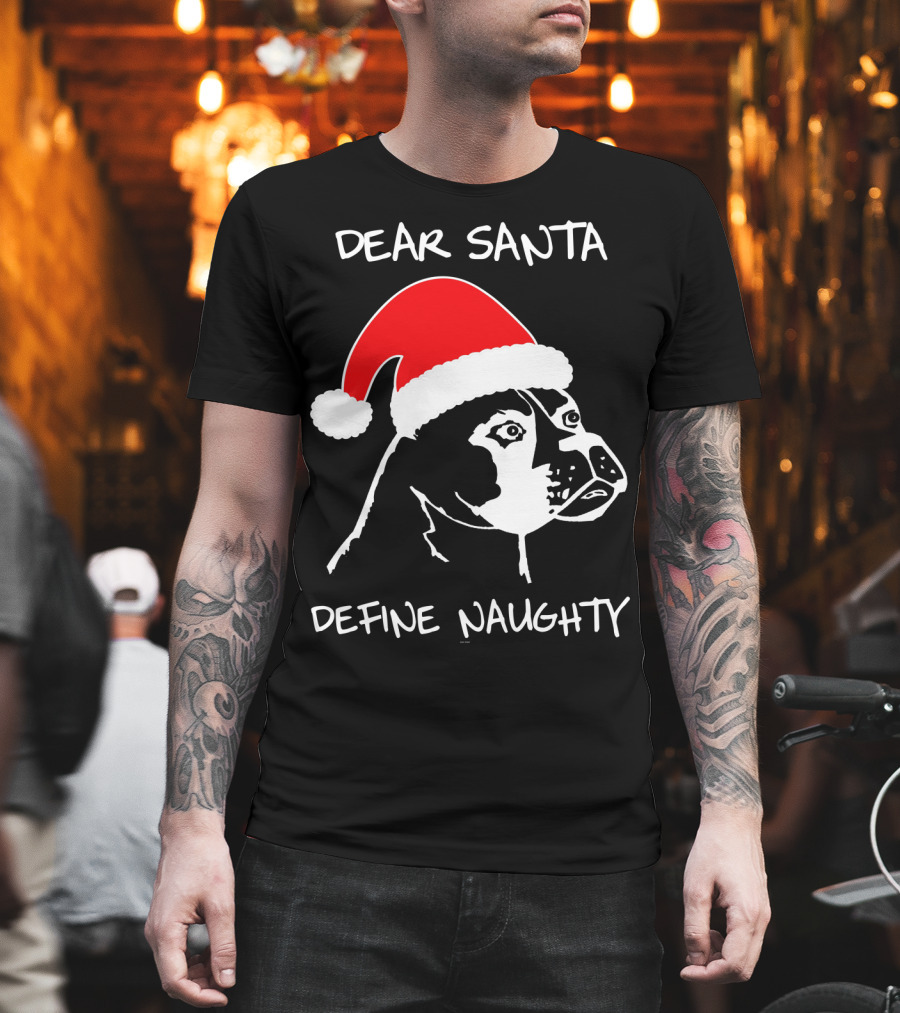 Dear Santa Define Naughty Boxer Funny Ugly Xmas Dog Lovers T-Shirt
