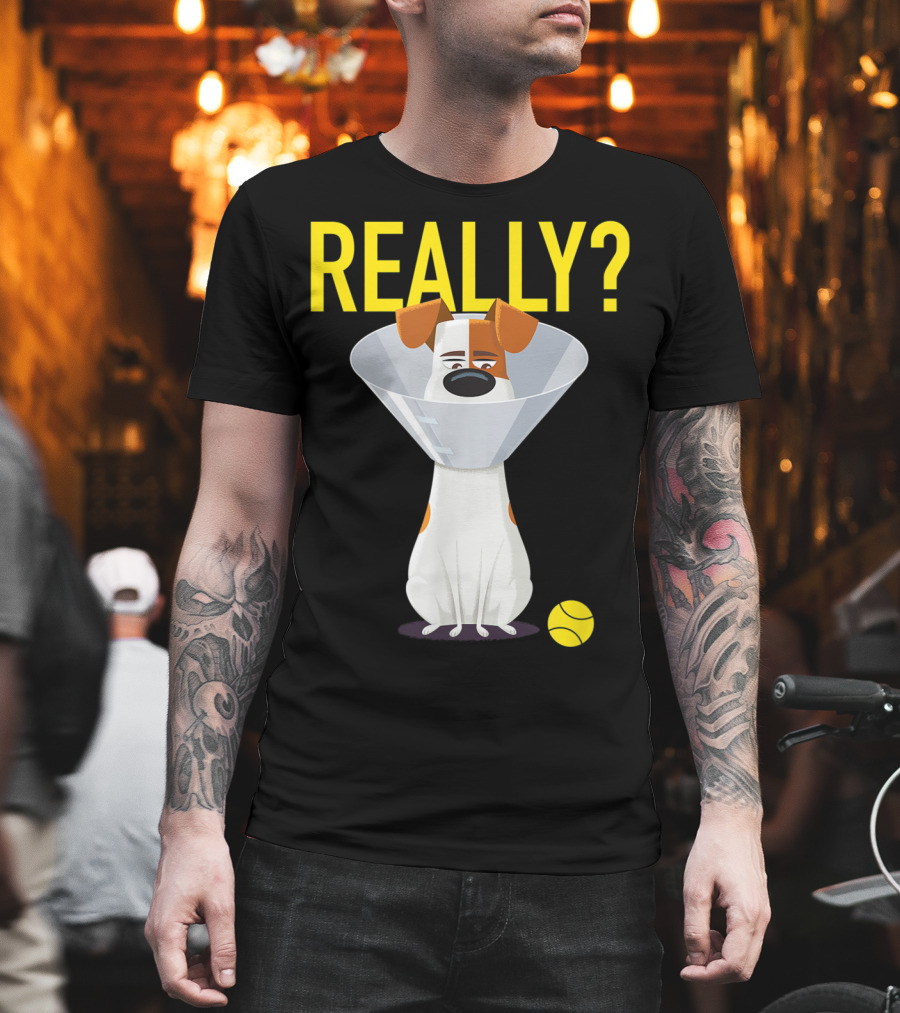 The Secret Life of Pets 2 Max Really? Ball Cone Collar T-Shirt
