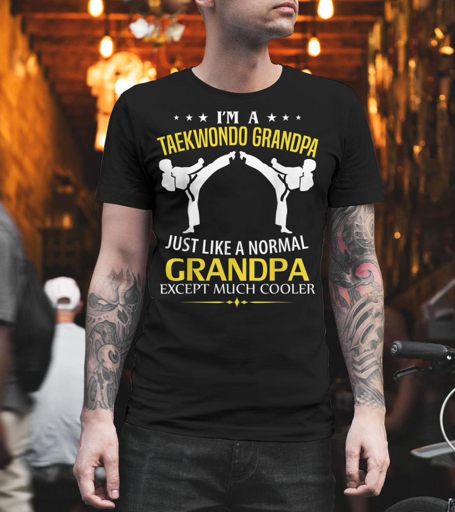 I'm A Taekwondo Grandpa Just Like A Normal Grandpa Except Much Cooler T-Shirt