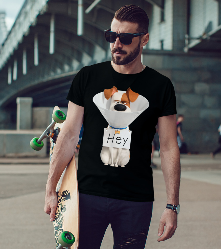 Hey Max Dog Cone Humor T-Shirt