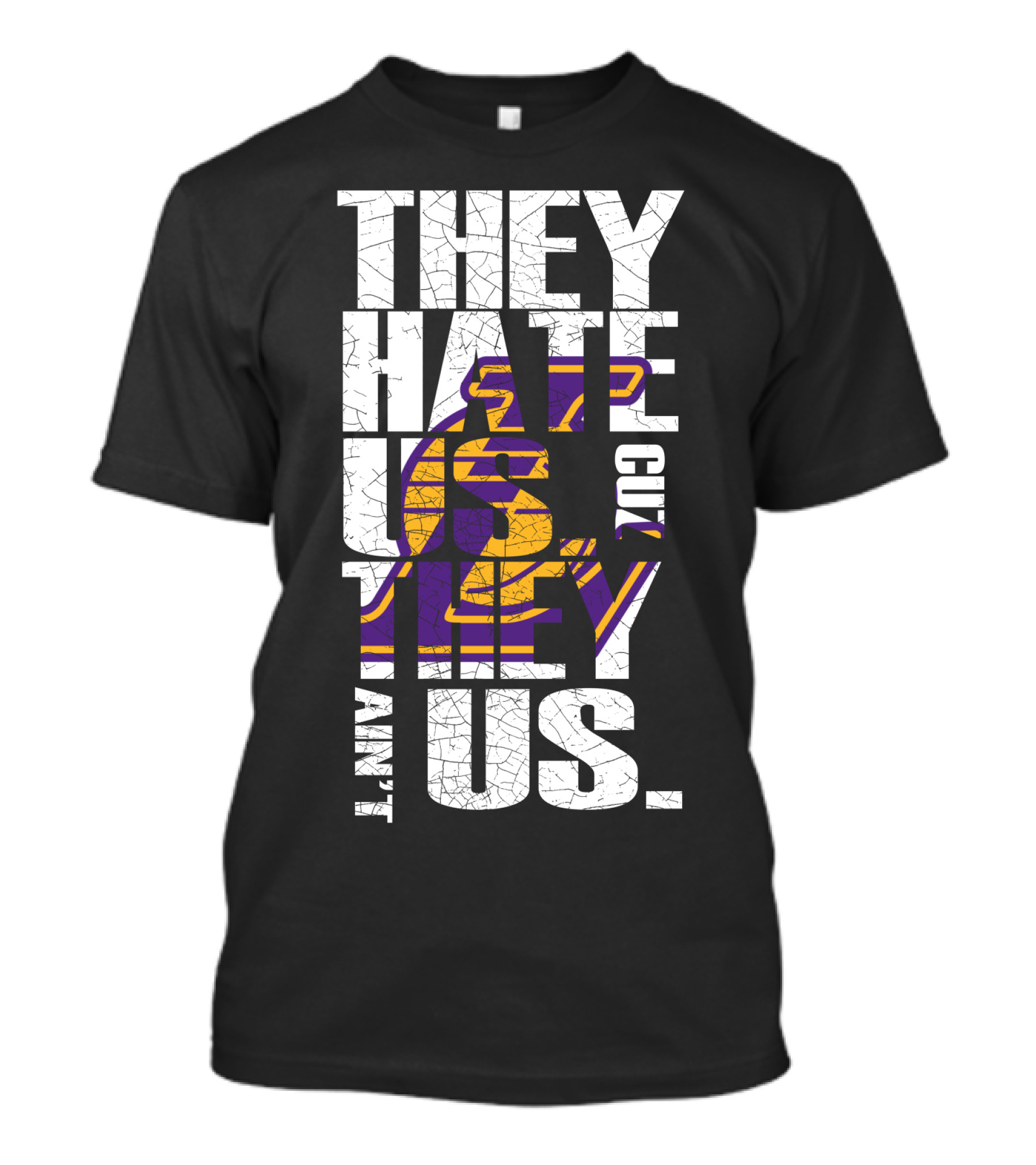 Los Angeles Lakers They Hate Us Cuz They Ain't Us T-Shirt