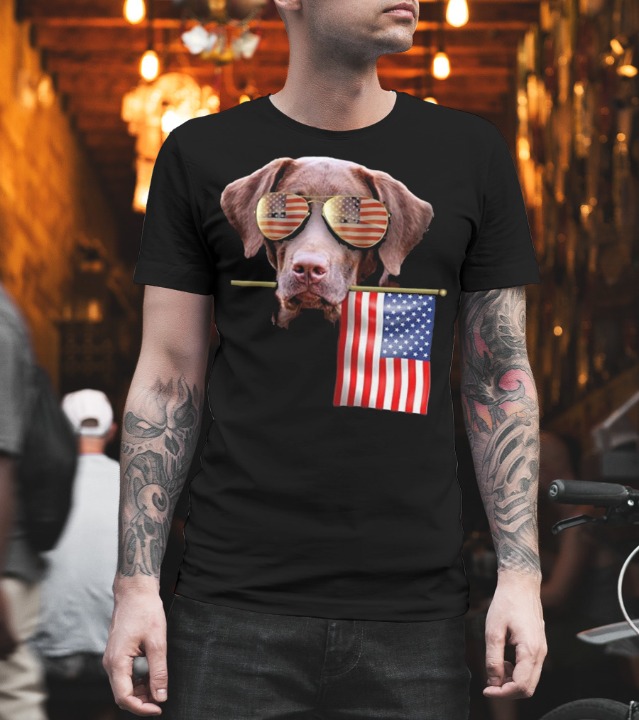 Pitbull Dog With American Flag Sunglasses And Flag T-Shirt