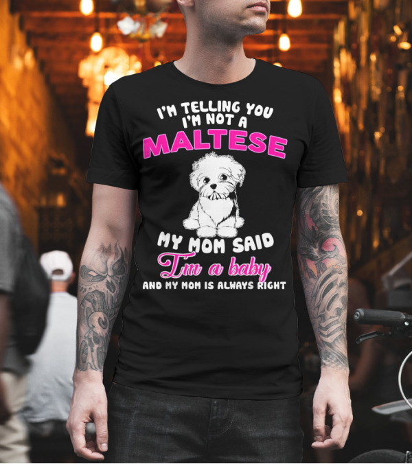 Im Telling You Im Not A Maltese My Mom Said Im A Baby And My Mom Is Always Right T-Shirt Im Telling You Im Not A Maltese My Mom Said Im A Baby And My Mom Is Always Right T-Shirt