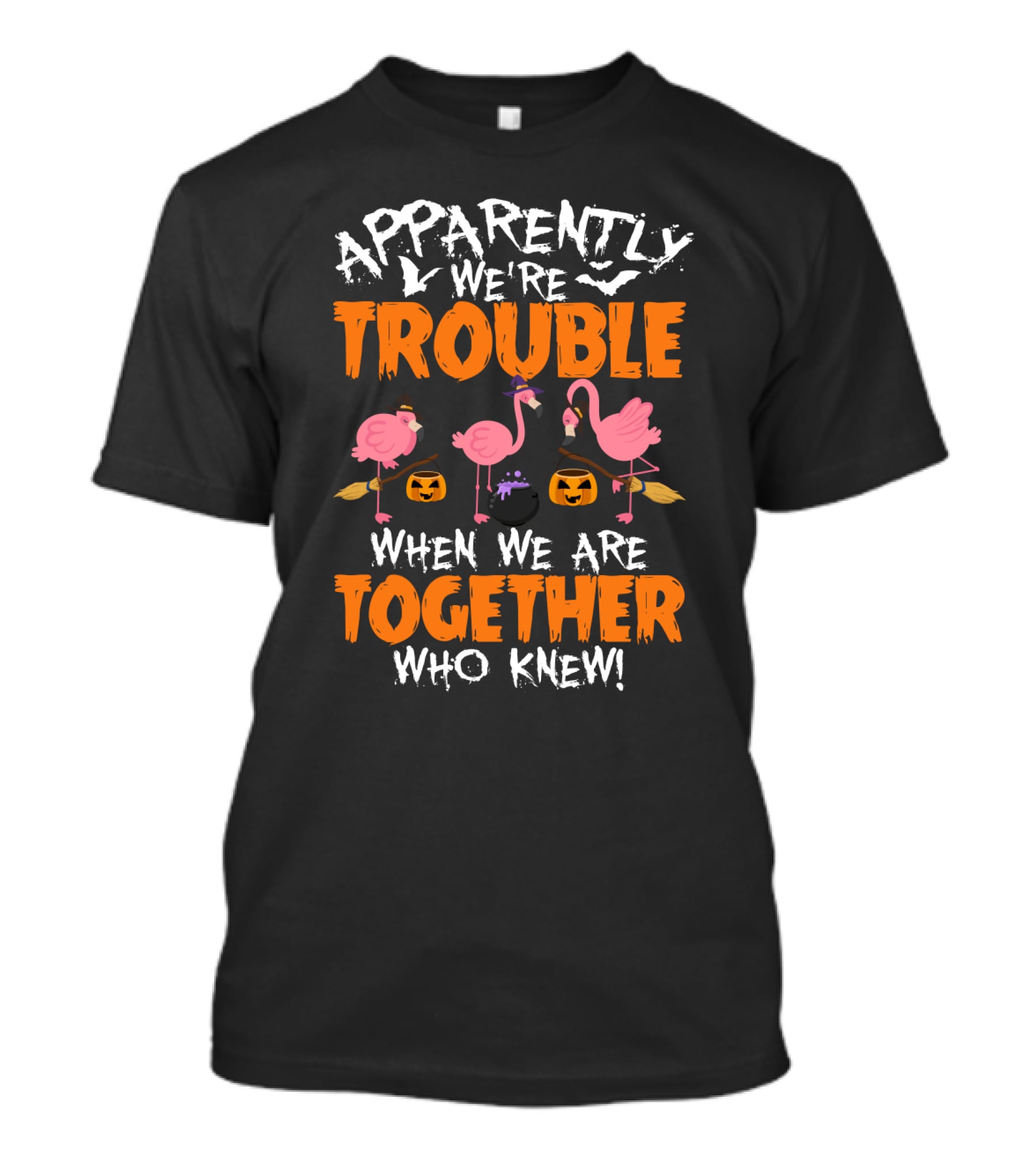 Apparently We're Trouble When We Are Together Who Knew Halloween Flamingo Witches With Bats And Pumpkins T-Shirt