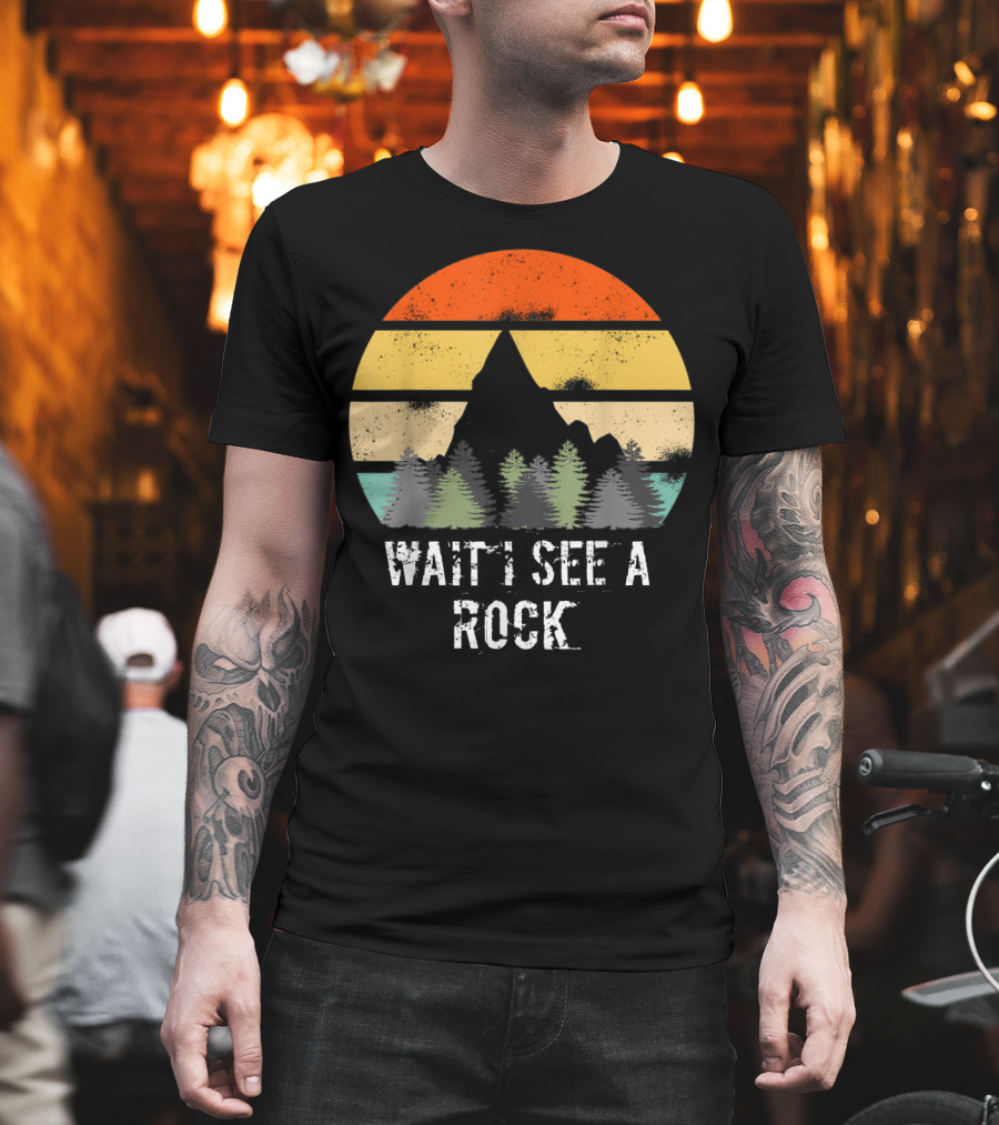 Retro Vintage Wait I See A Rock Geologist Sunset Forest Scene T-Shirt