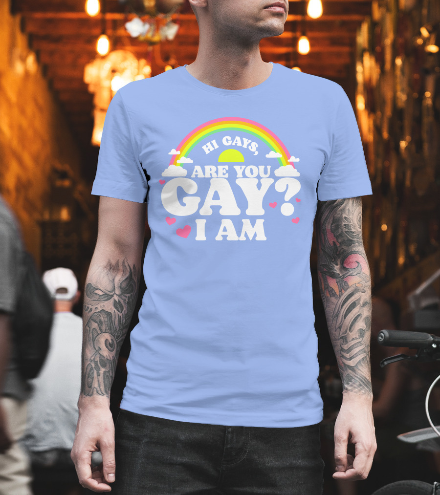 Chrissy Chlapecka Merch Hi Gays Are You Gay I Am With Rainbow And Hearts T-Shirt