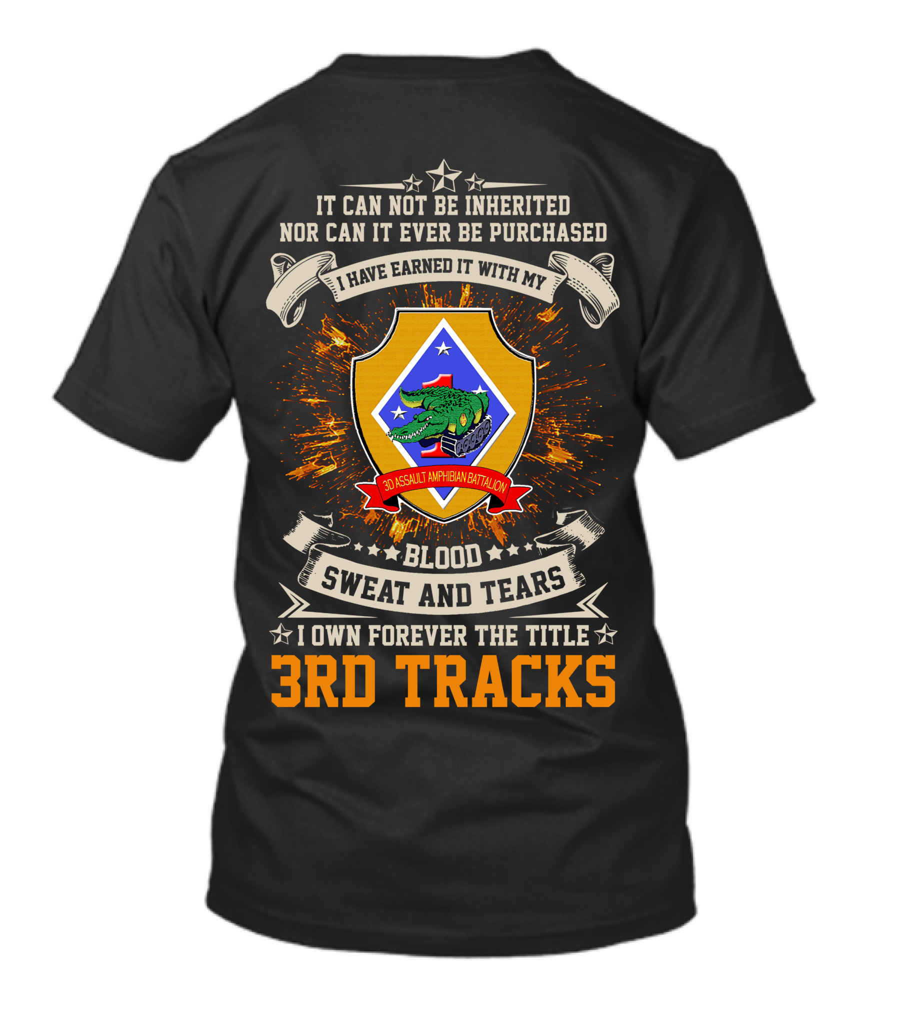 3rd Assault Amphibian Battalion Blood Sweat And Tears I Own Forever The Title 3rd Tracks T-Shirt