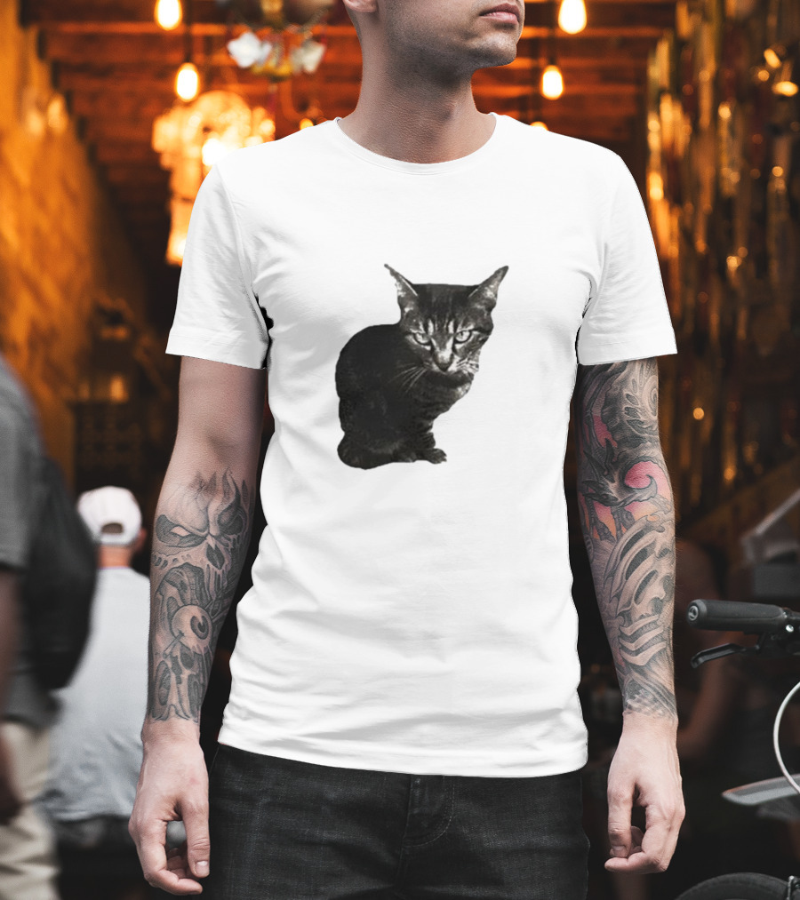 Smileymaya15 How Long Have I Been Here Kitten Cat Black Gray Tabby T-Shirt