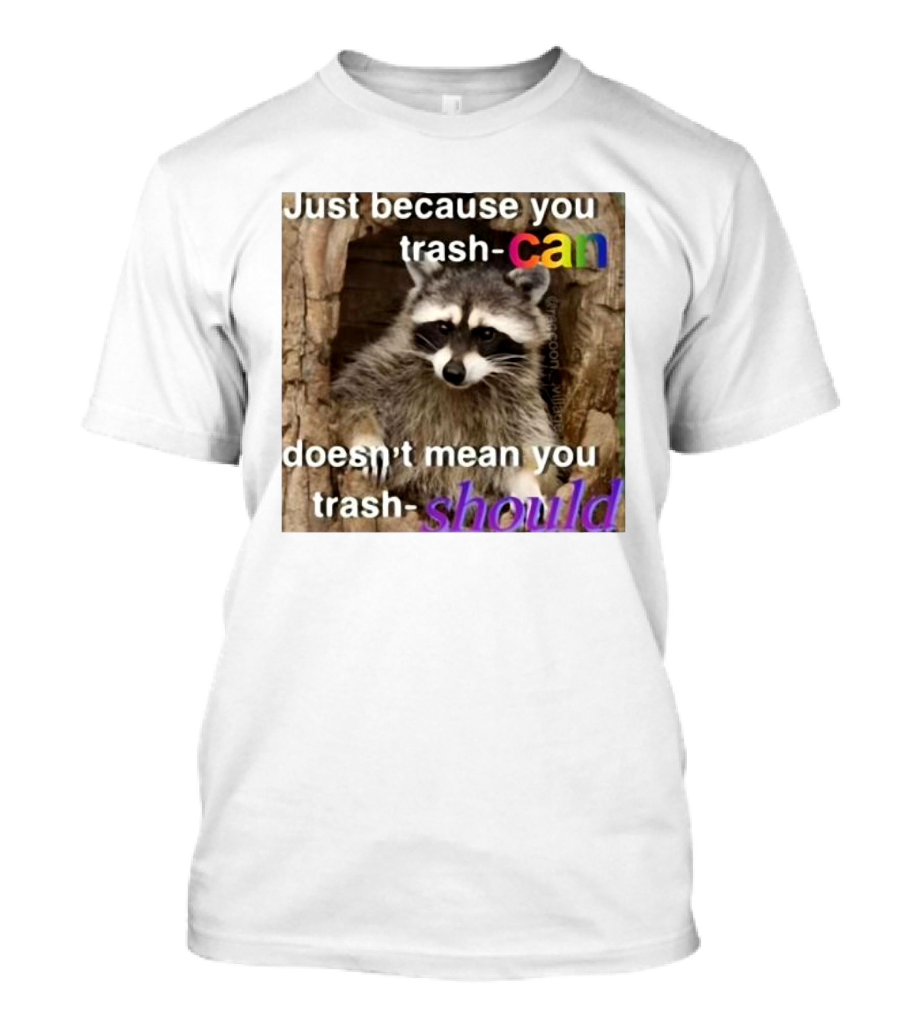 Just Because You Trash Can Doesn’t Mean You Trash Should Raccoon T-Shirt