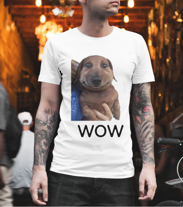 Fallenchungus Wow Dog Meme with Funny Expression T-Shirt Fallenchungus Wow Dog Meme with Funny Expression T-Shirt
