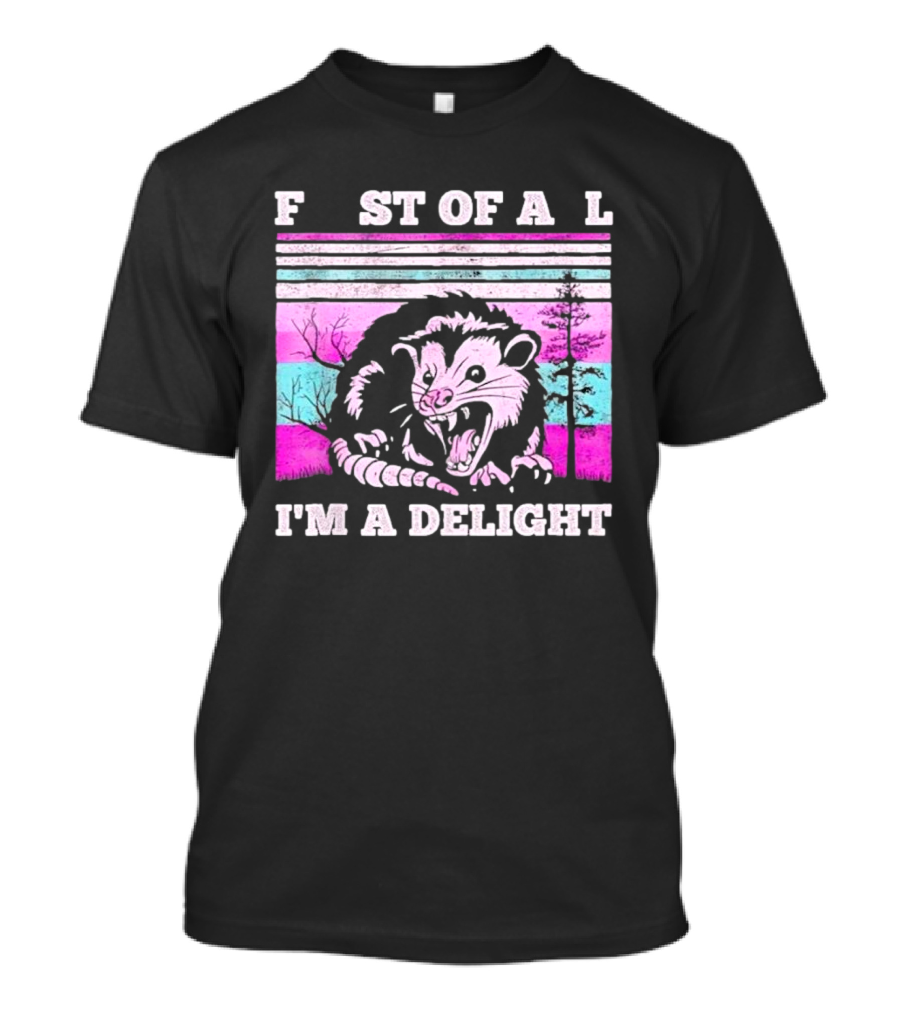 First Of All I’m A Delight Sarcastic Angry Opossum Retro T-Shirt