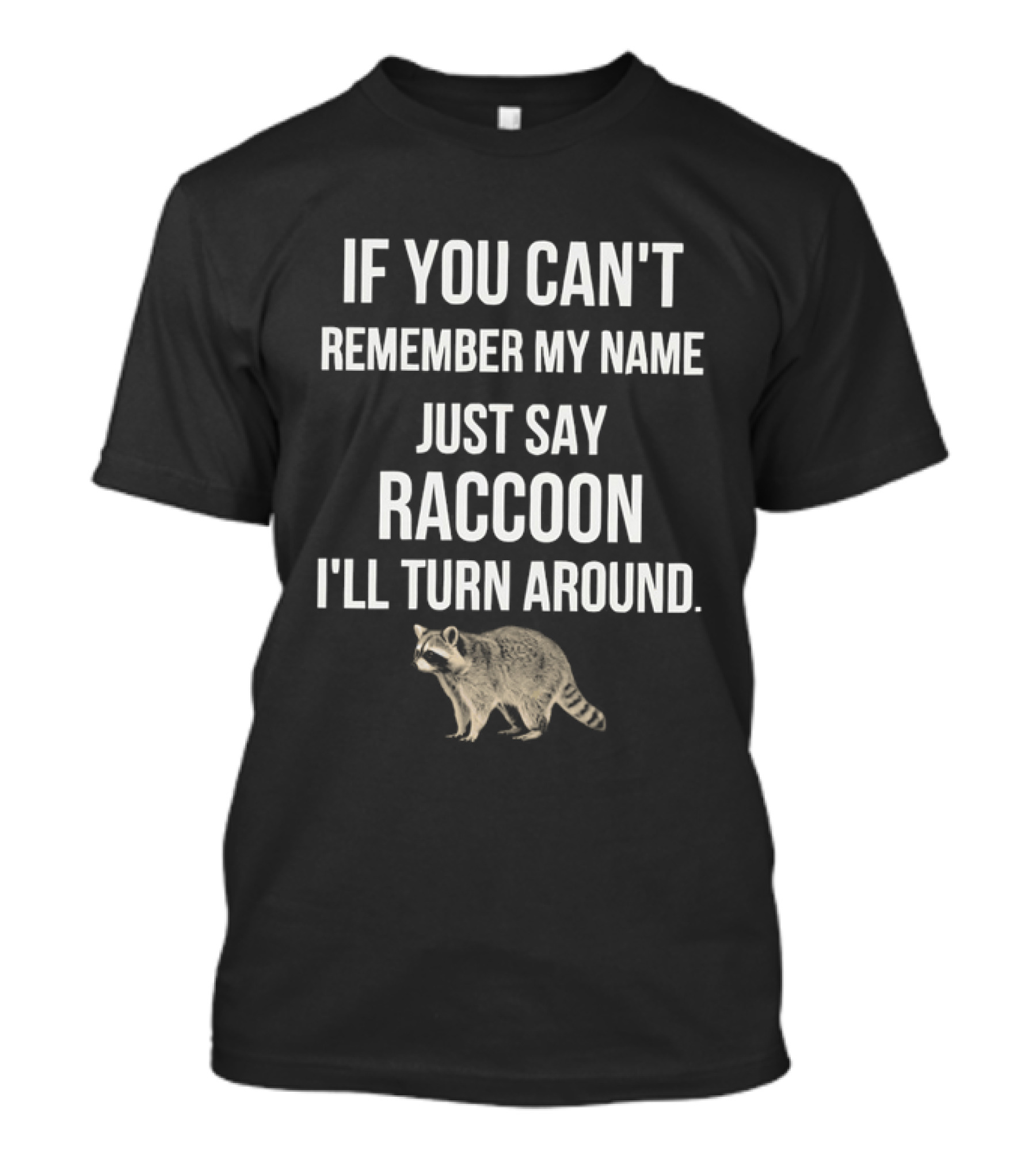 If You Can't Remember My Name Just Say Raccoon I'll Turn Around Playful Humor T-Shirt