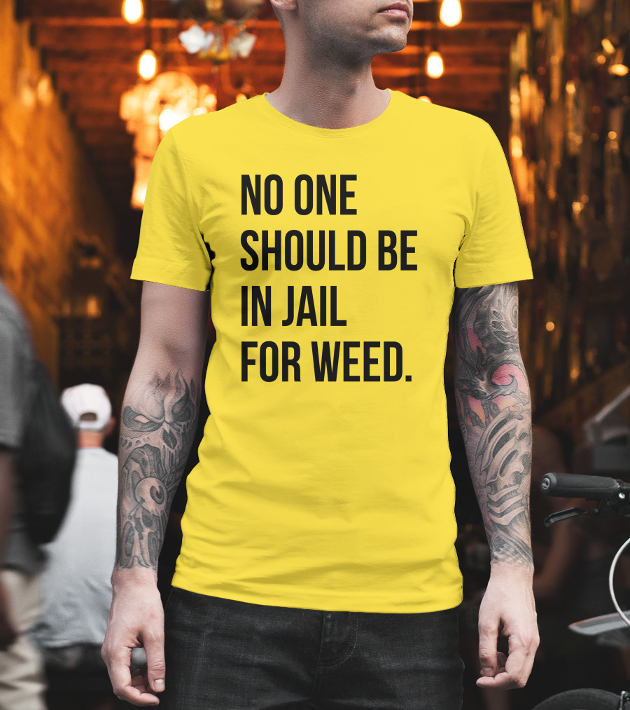 No One Should Be In Jail For Weed Gisele Barreto Fetterman We Go High Shop T-Shirt