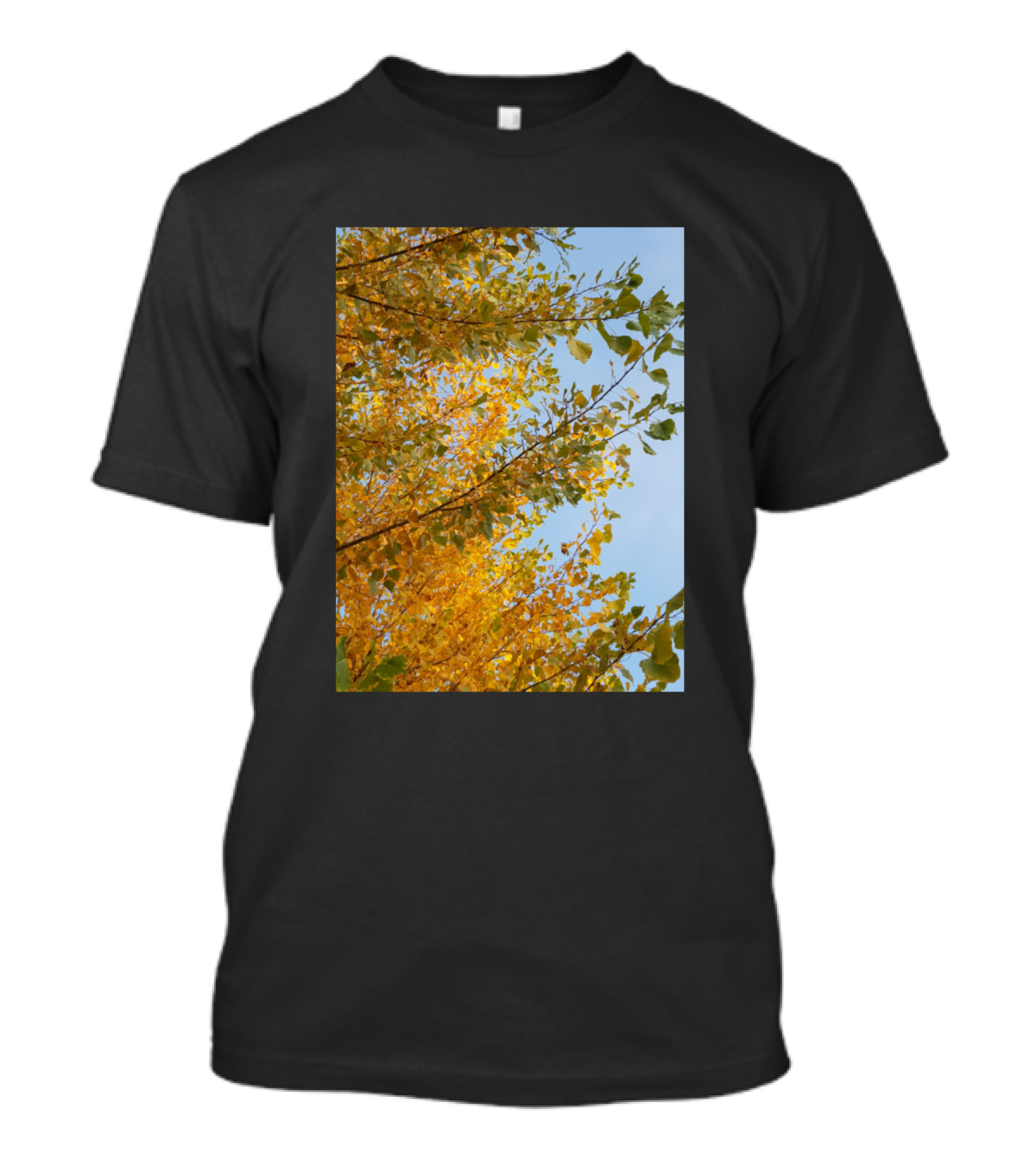 Autumn Tree Nature Photo Vibrant Fall Foliage Against Blue Sky T-Shirt