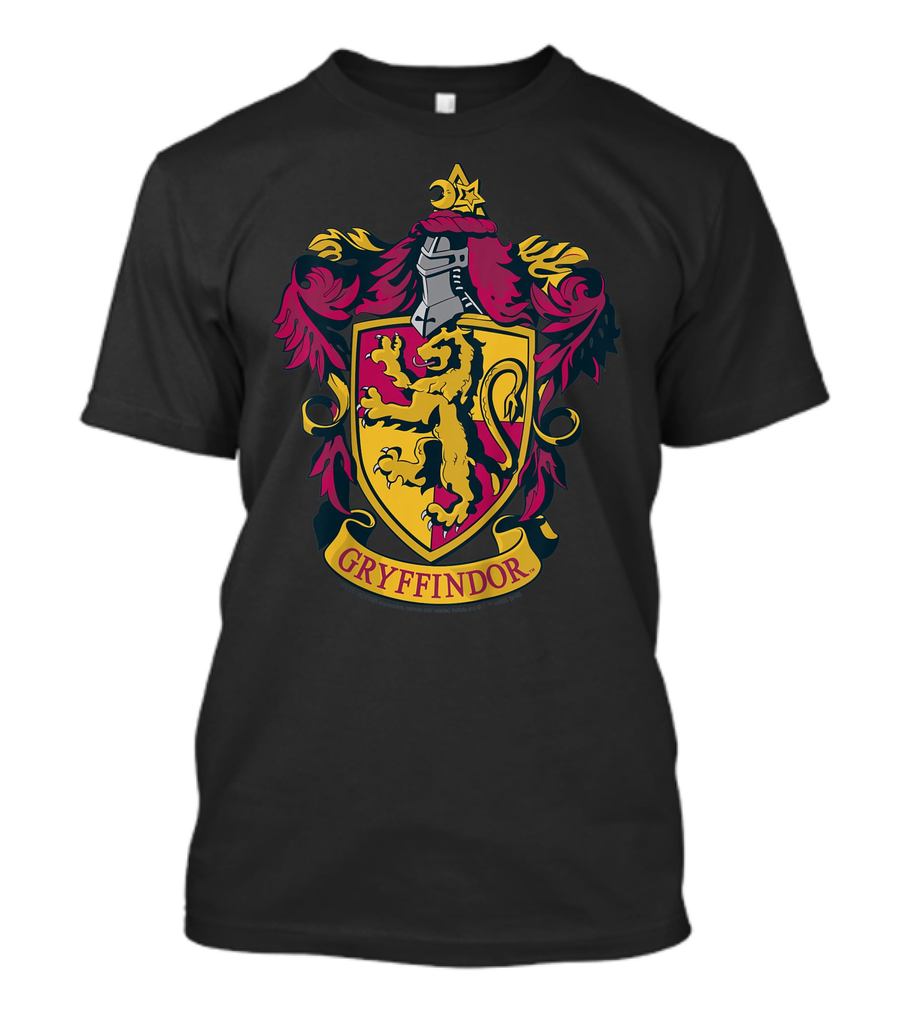 Gryffindor Only Today T-Shirt