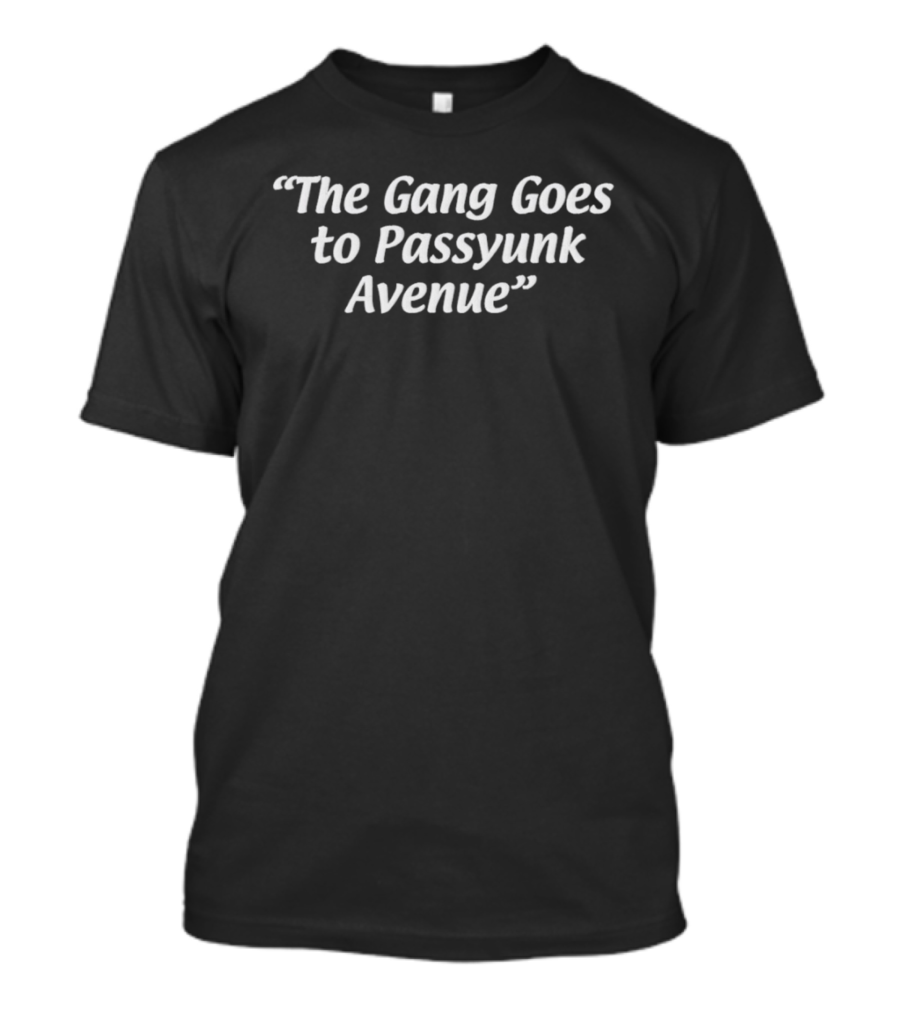 The Gang Goes To Passyunk Avenue Phillygoat X Passyunk Avenue T-Shirt