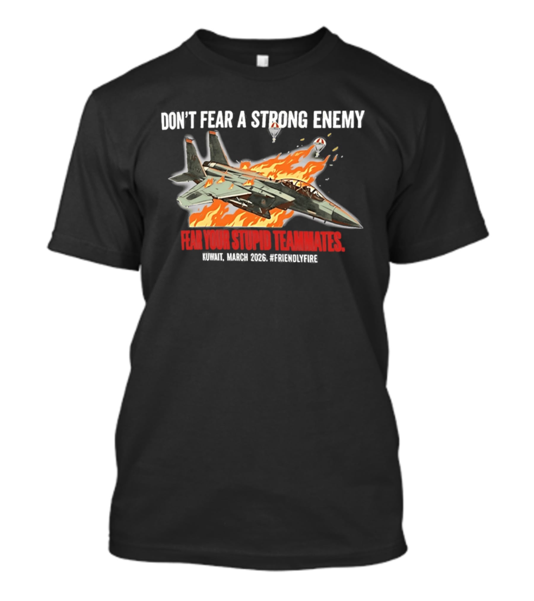 F 15e Strike Eagle Don't Fear A Strong Enemy Fear Your Stupid Teammates 2026 T-Shirt