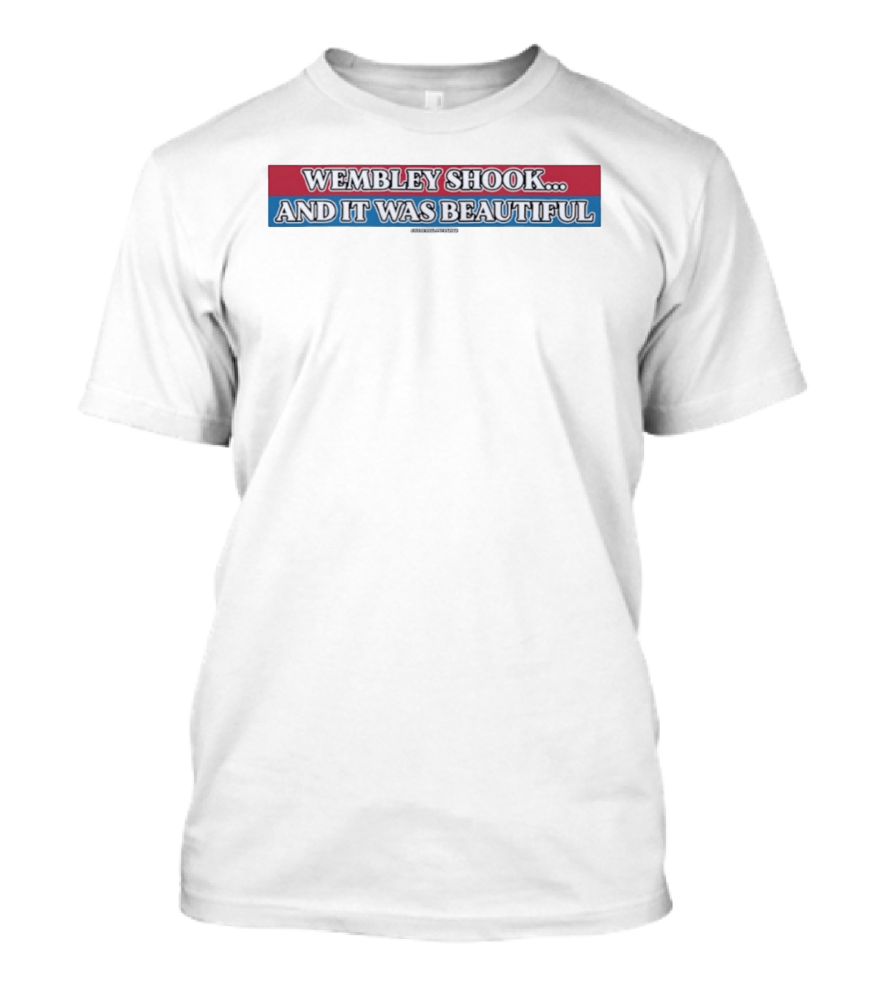 Wembley Shook And It Was Beautiful T-Shirt