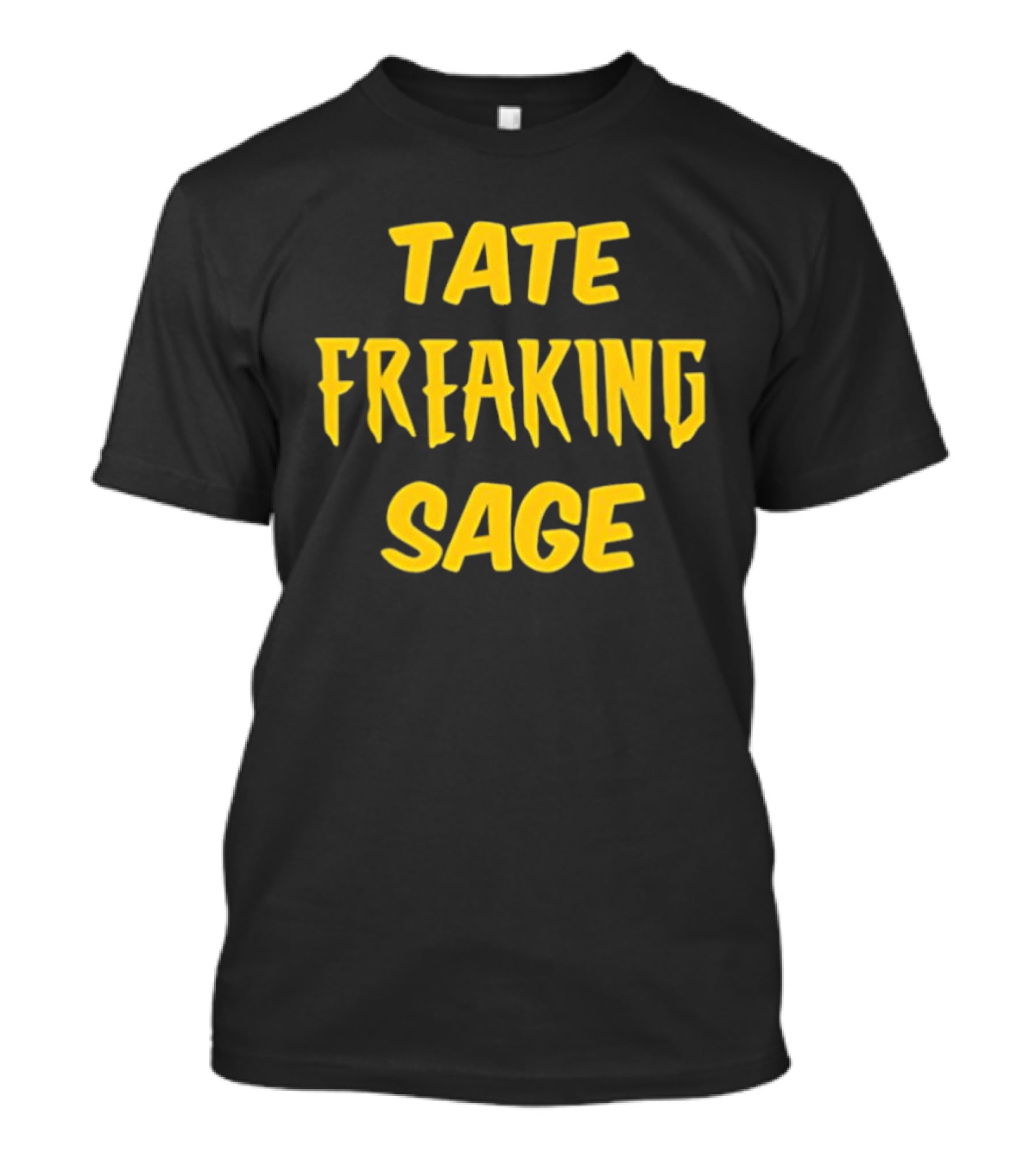 Iowa Hawkeyes NCAA Basketball Elite Eight Tate Freaking Sage T-Shirt