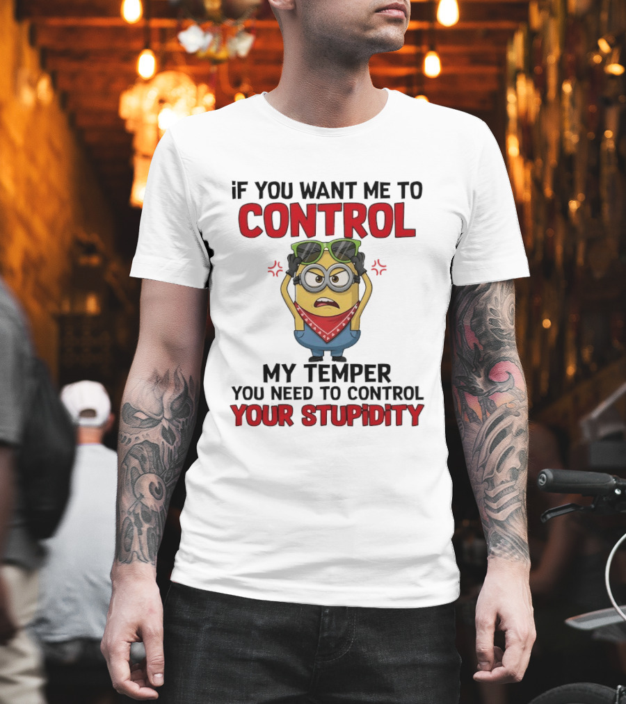Grumpy Minion Control My Temper Control Your Stupidity T-Shirt