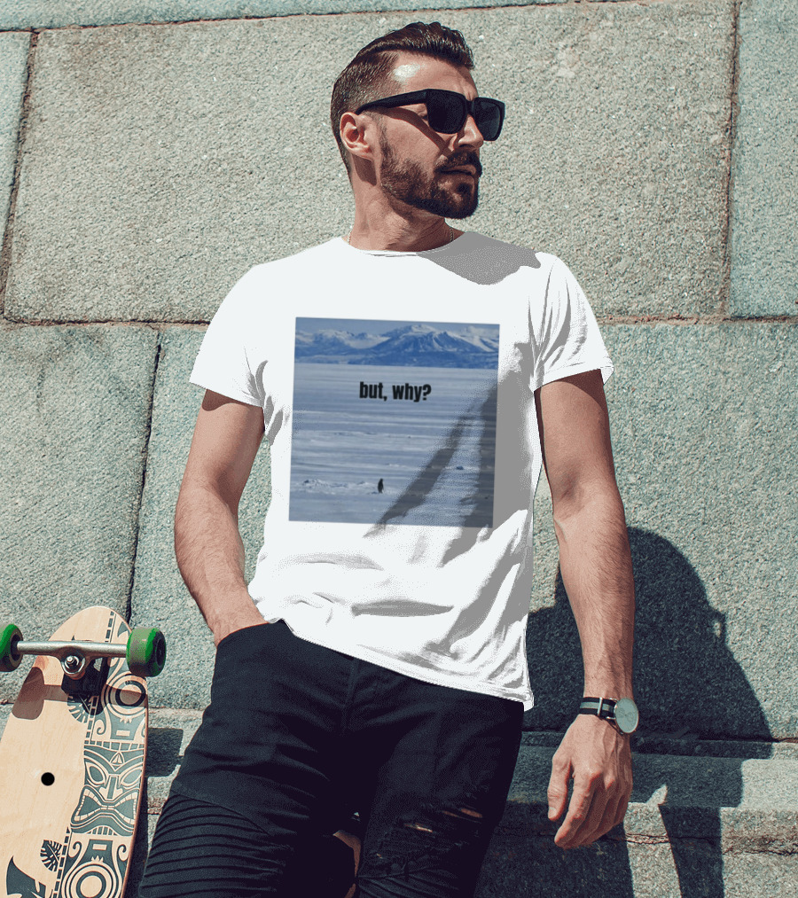 But Why Penguin On Ice With Mountain T-Shirt