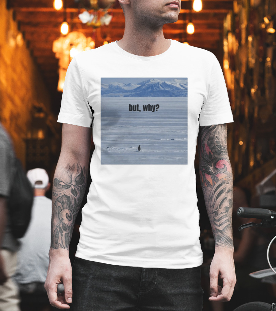 But Why Penguin On Ice With Mountain T-Shirt