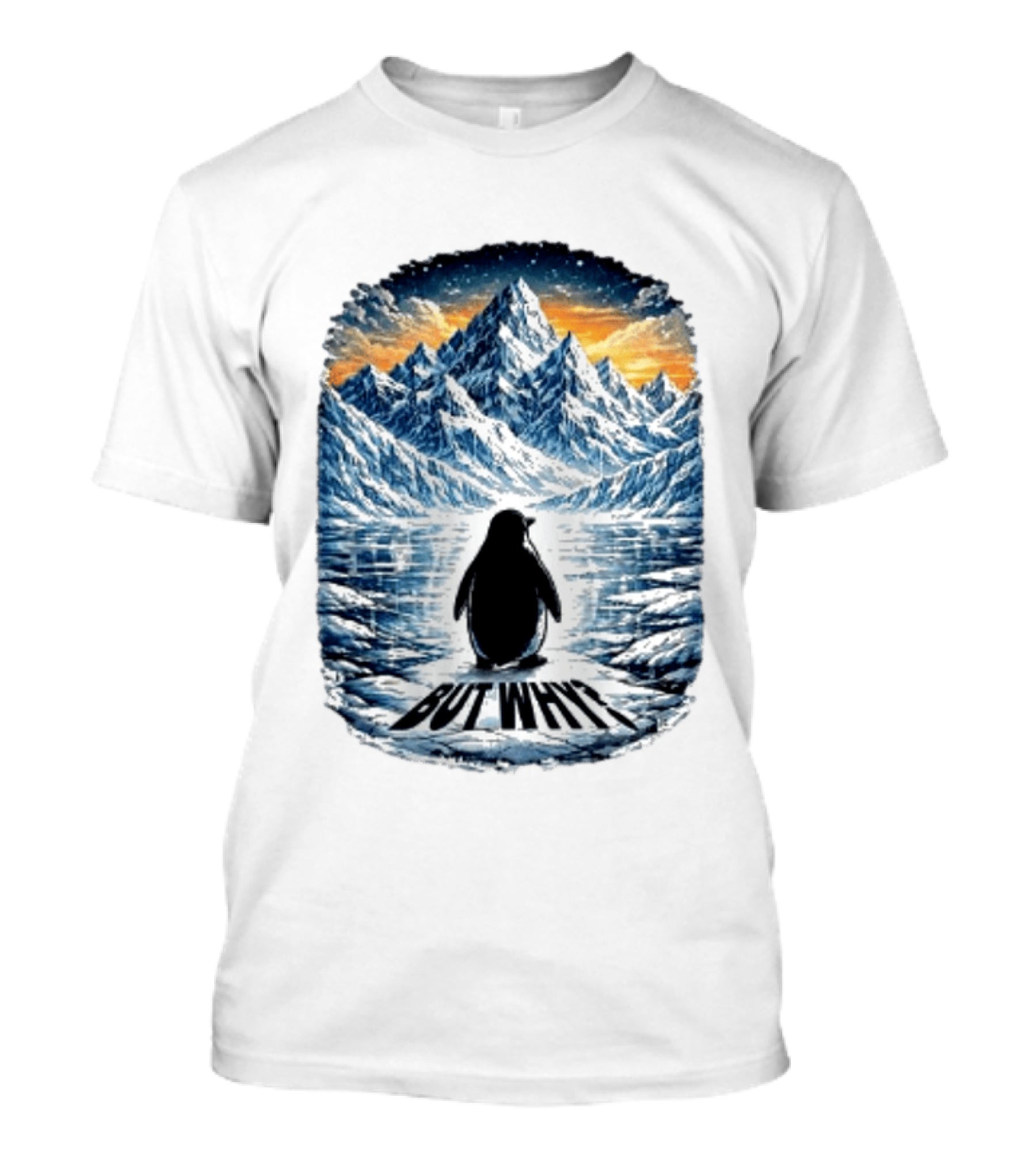 Viral Nihilist Penguin But Why Mountain Reflection T-Shirt
