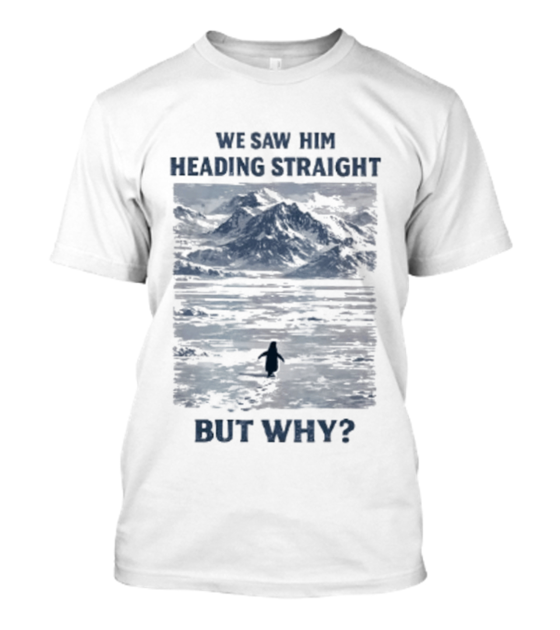 We Saw Him Heading Straight But Why Penguin Mountain Meme T-Shirt