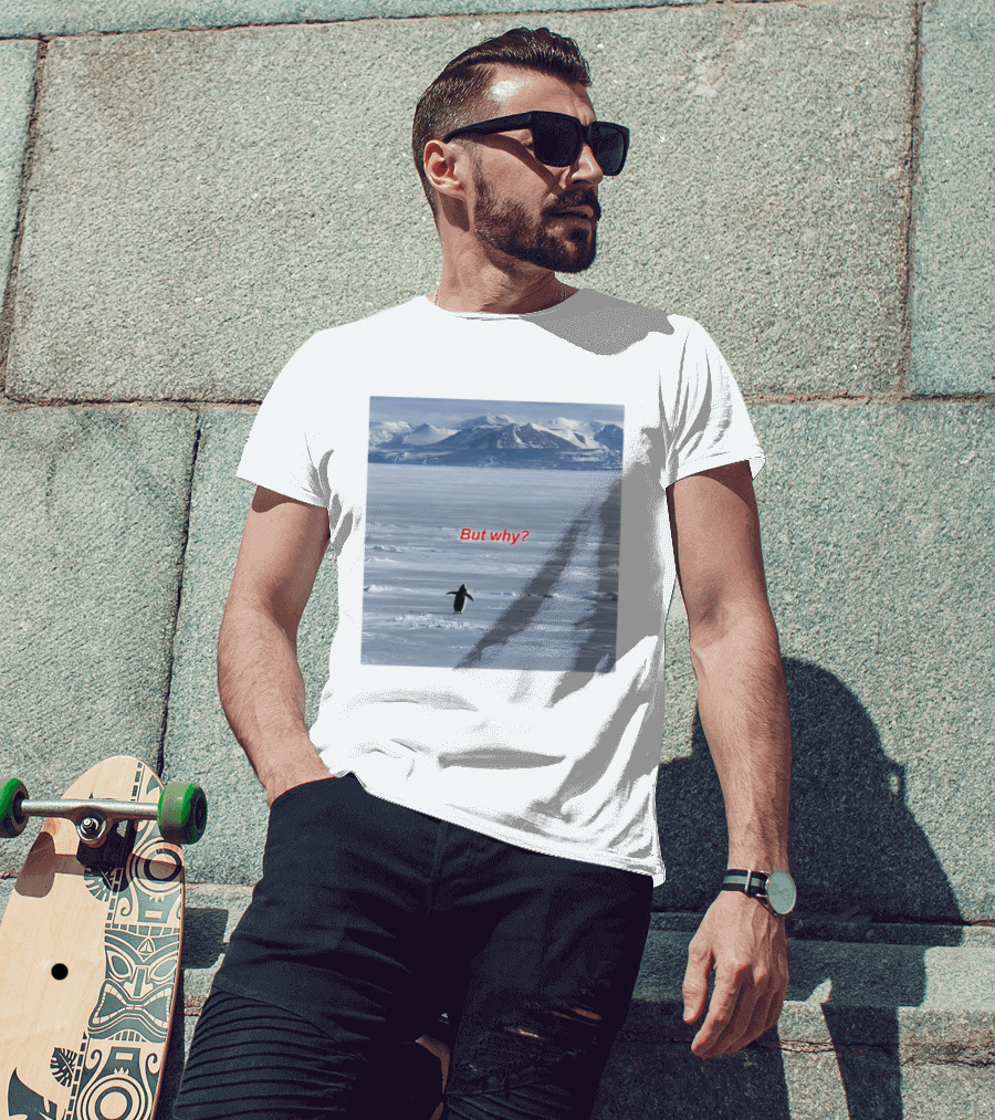 But Why Penguin Nihilist Scenic Antarctic Mountains T-Shirt