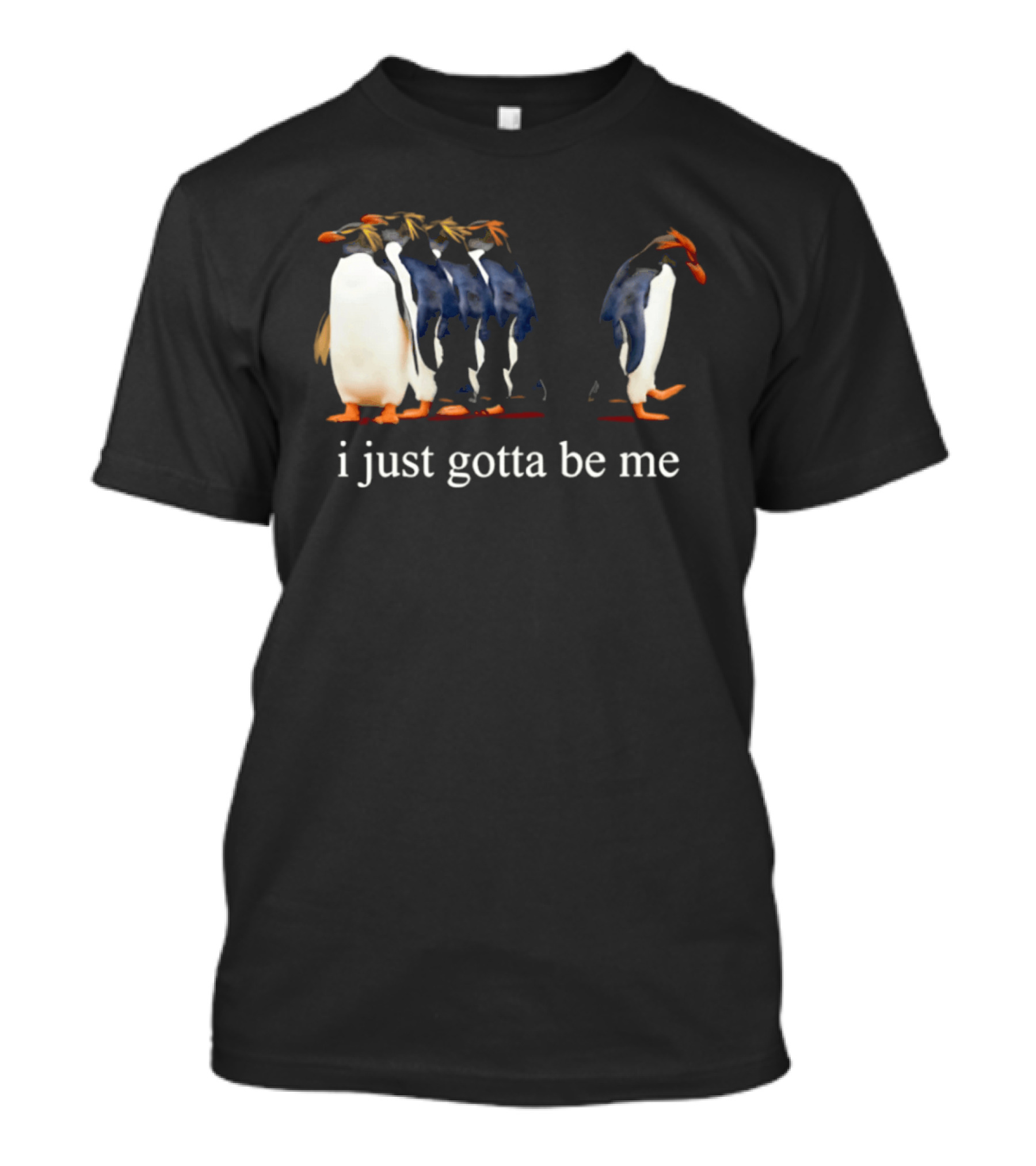 I Just Gotta Be Me Penguin Evolution Journey 2001 National Geo Society T-Shirt