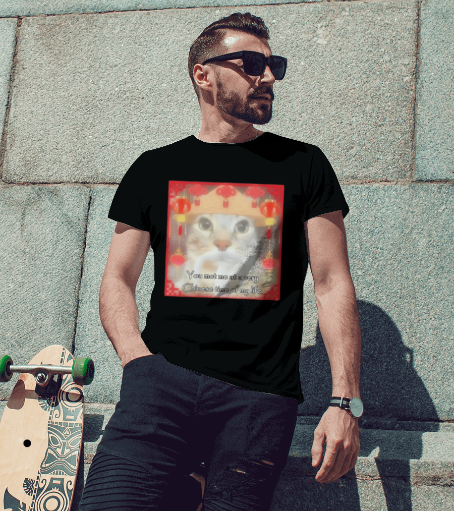 You Met Me At A Very Chinese Time Of My Life Cat Lanterns Hat T-Shirt
