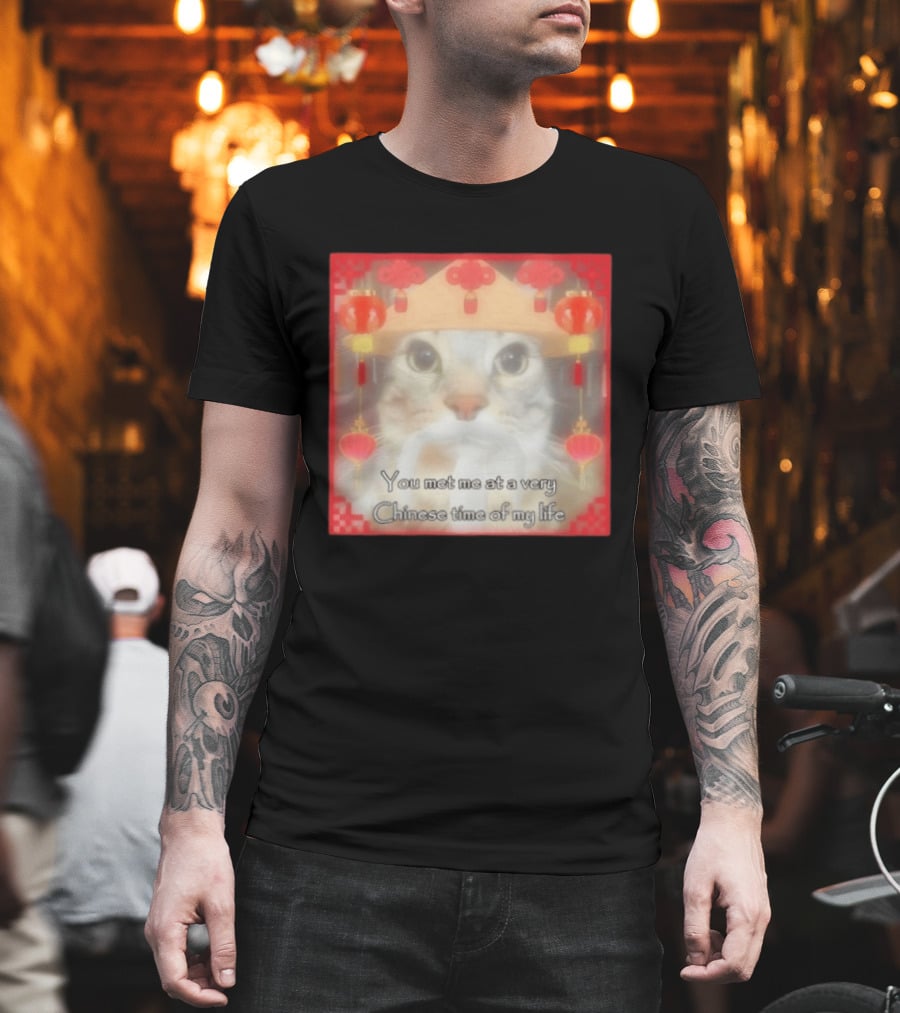 You Met Me At A Very Chinese Time Of My Life Cat Lanterns Hat T-Shirt