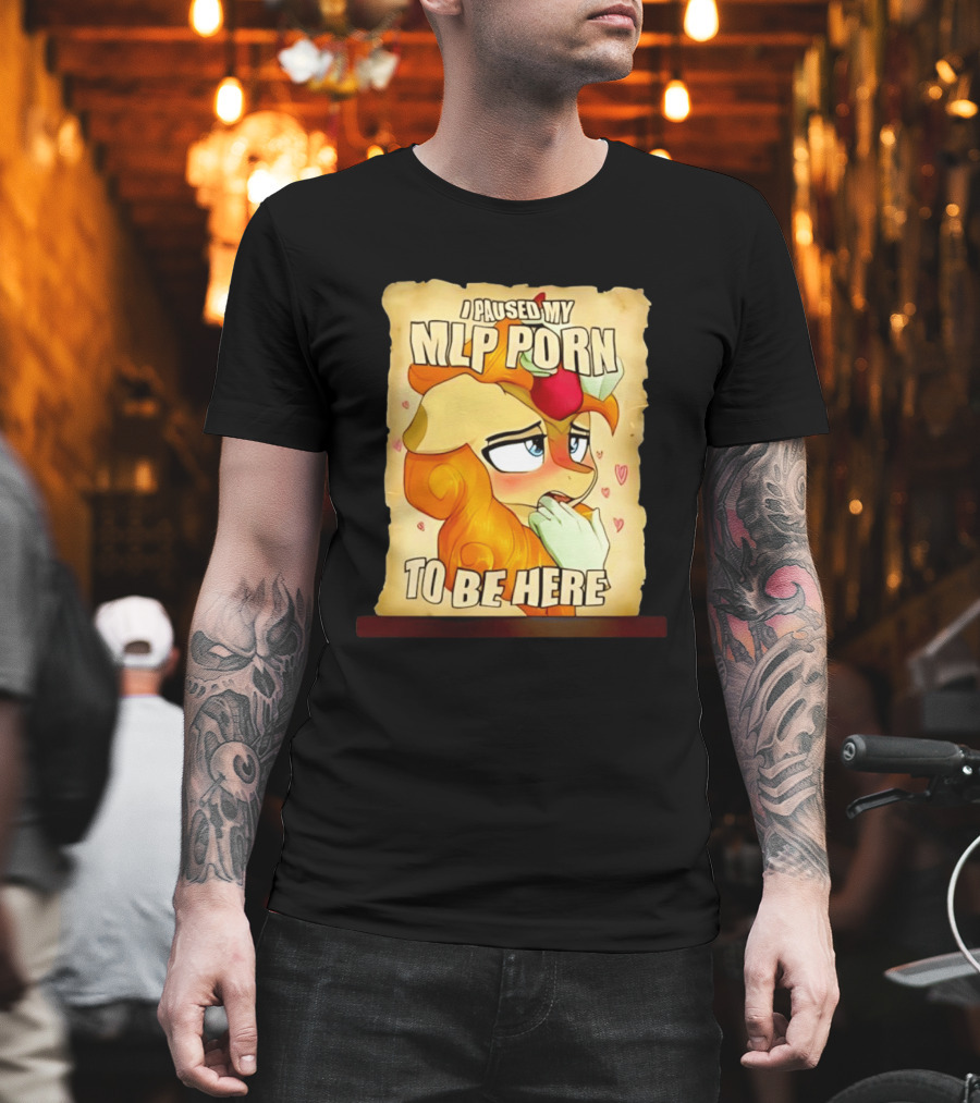 I Paused My MLP Porn To Be Here My Little Pony T-Shirt