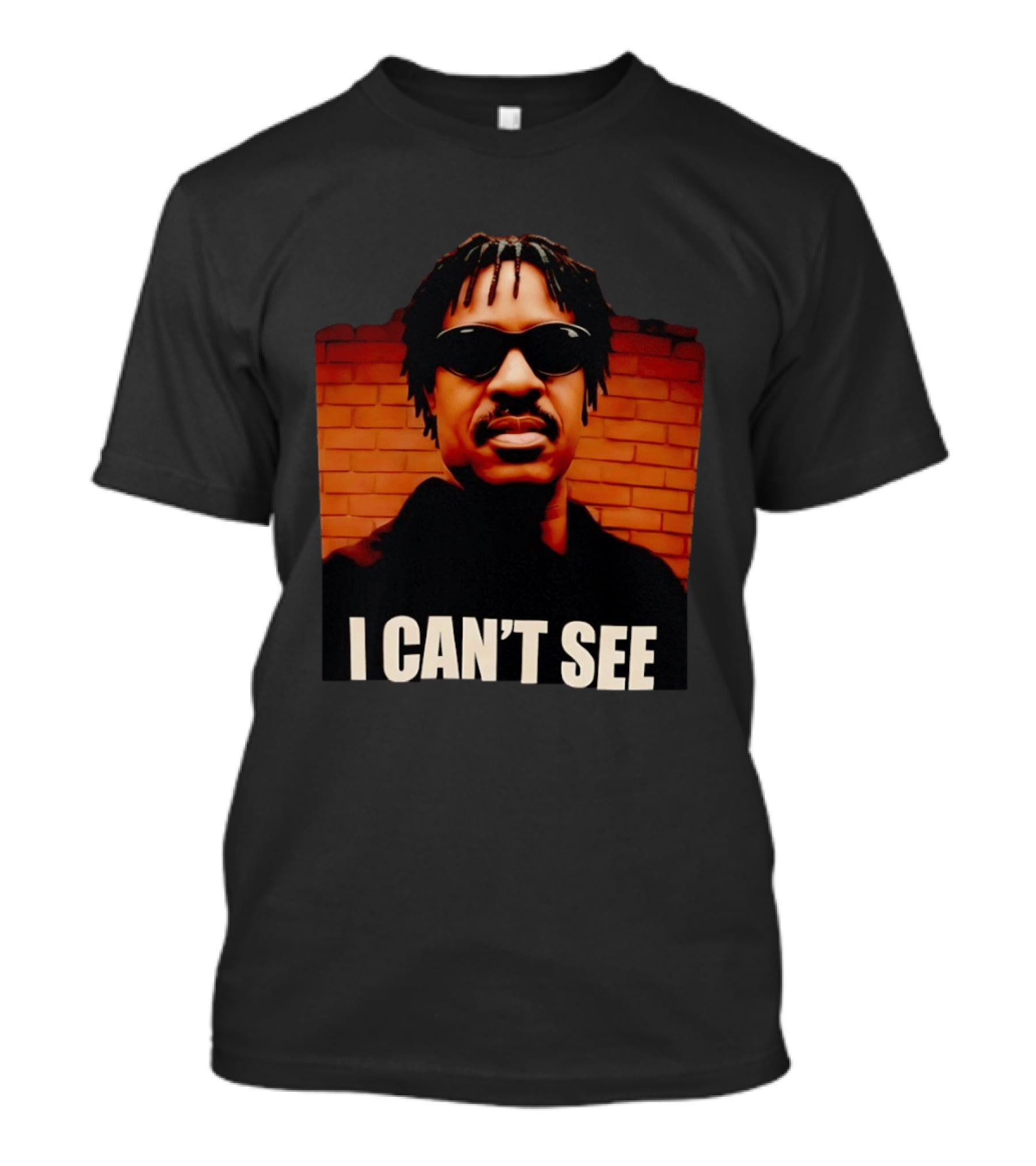 Stevie Wonder Motown R&B Soul Music Legend Singer Songwriter Parody I Can't See T-Shirt