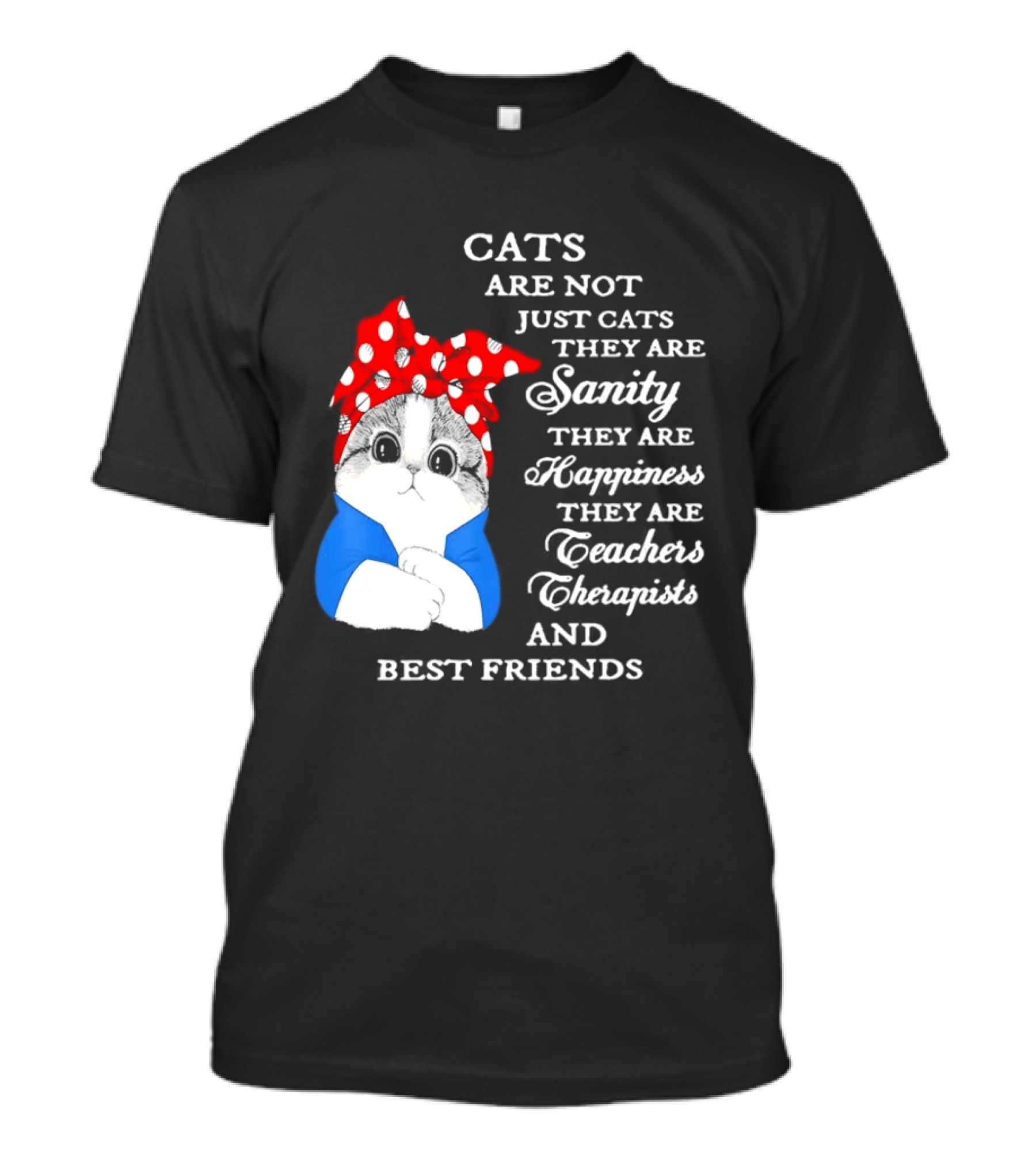 Cats Are Not Just Cats They Are Sanity Happiness Teachers Therapists Best Friends T-Shirt