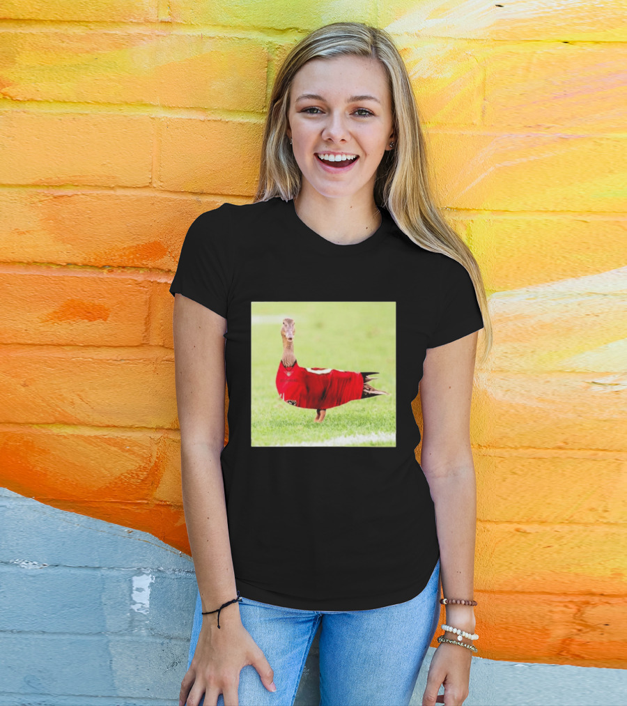 Tampa Bay Buccaneers Duck 2026 Football Fan T-Shirt