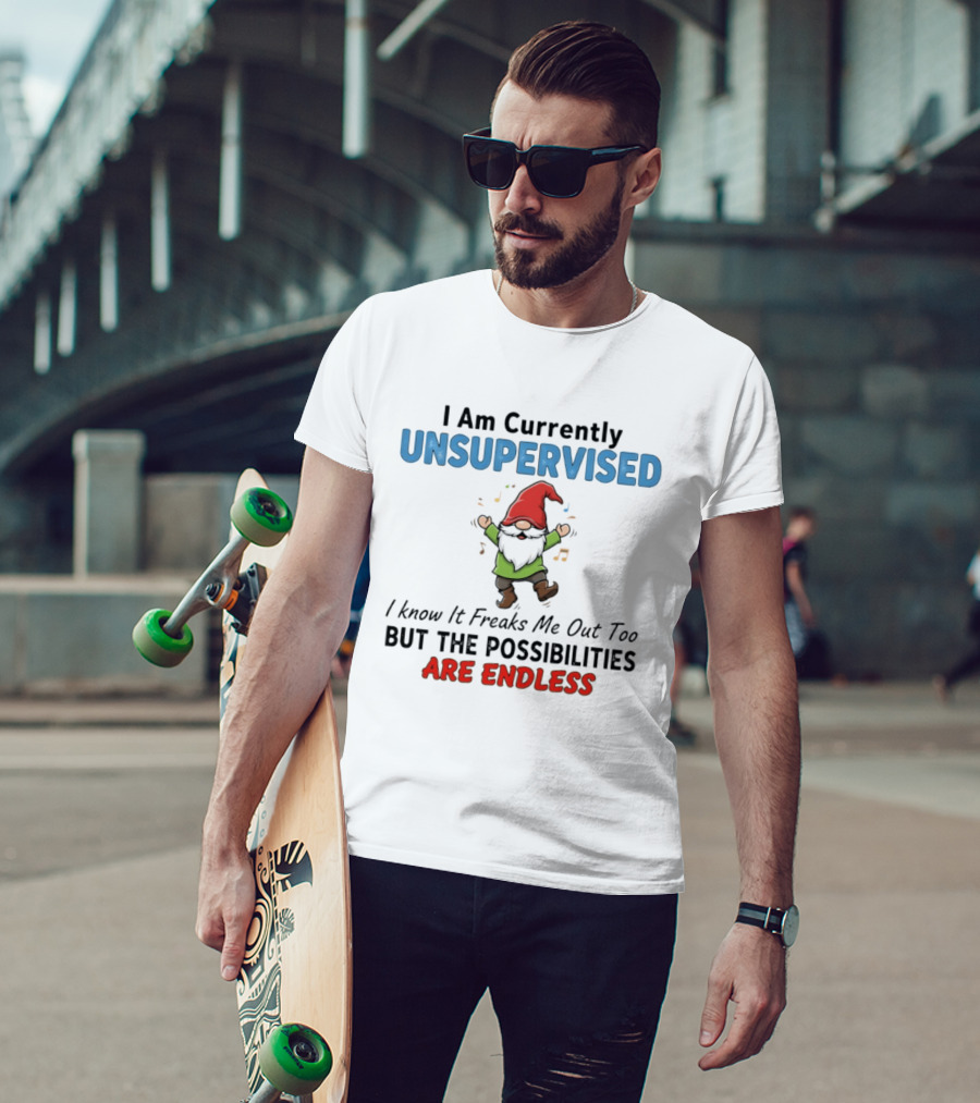 Unsupervised Gnome Christmas Possibilities Endless Fun T-Shirt