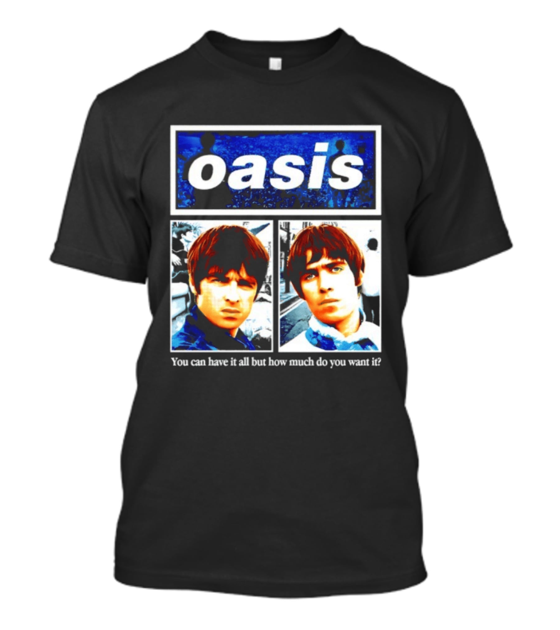 Oasis You Can Have It All But How Much Do You Want It Music Band T-Shirt
