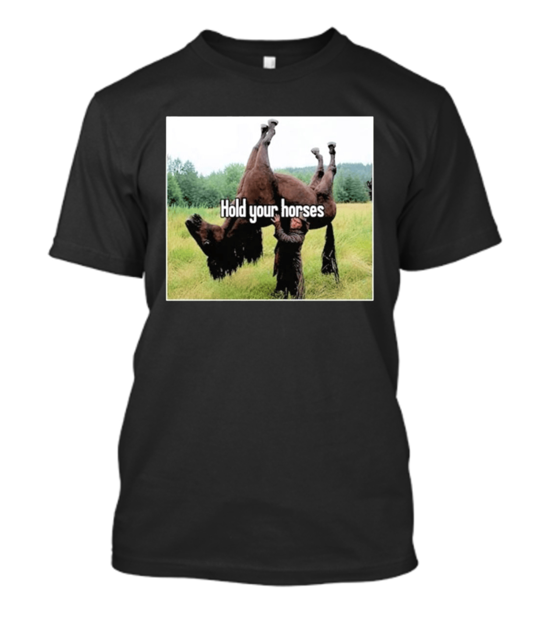 Hold Your Horses Humor With Upside Down Horse T-Shirt