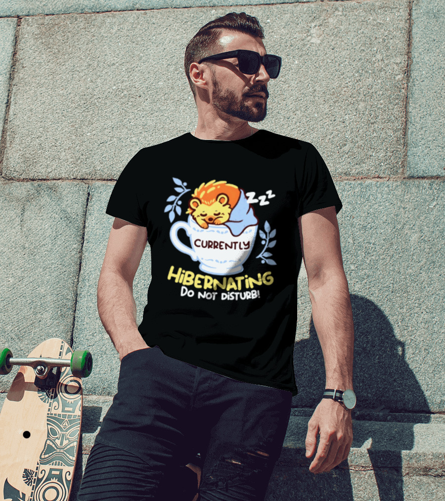 Currently Hibernating Do Not Disturb Hedgehog In Teacup Python T-Shirt