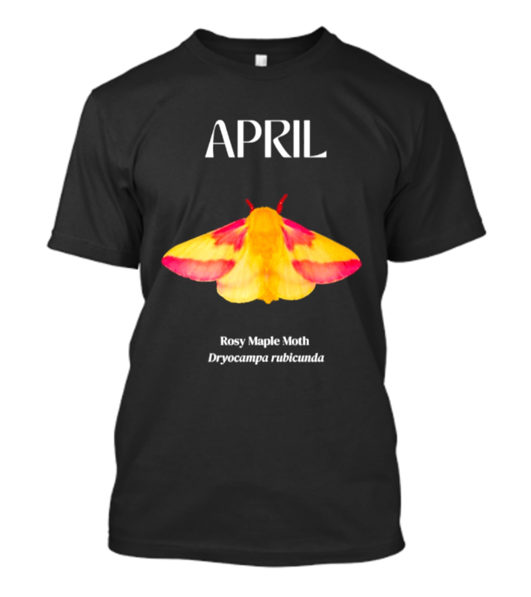 April Rosy Maple Moth Dryocampa Rubicunda Vibrant Yellow Pink Insect T-Shirt