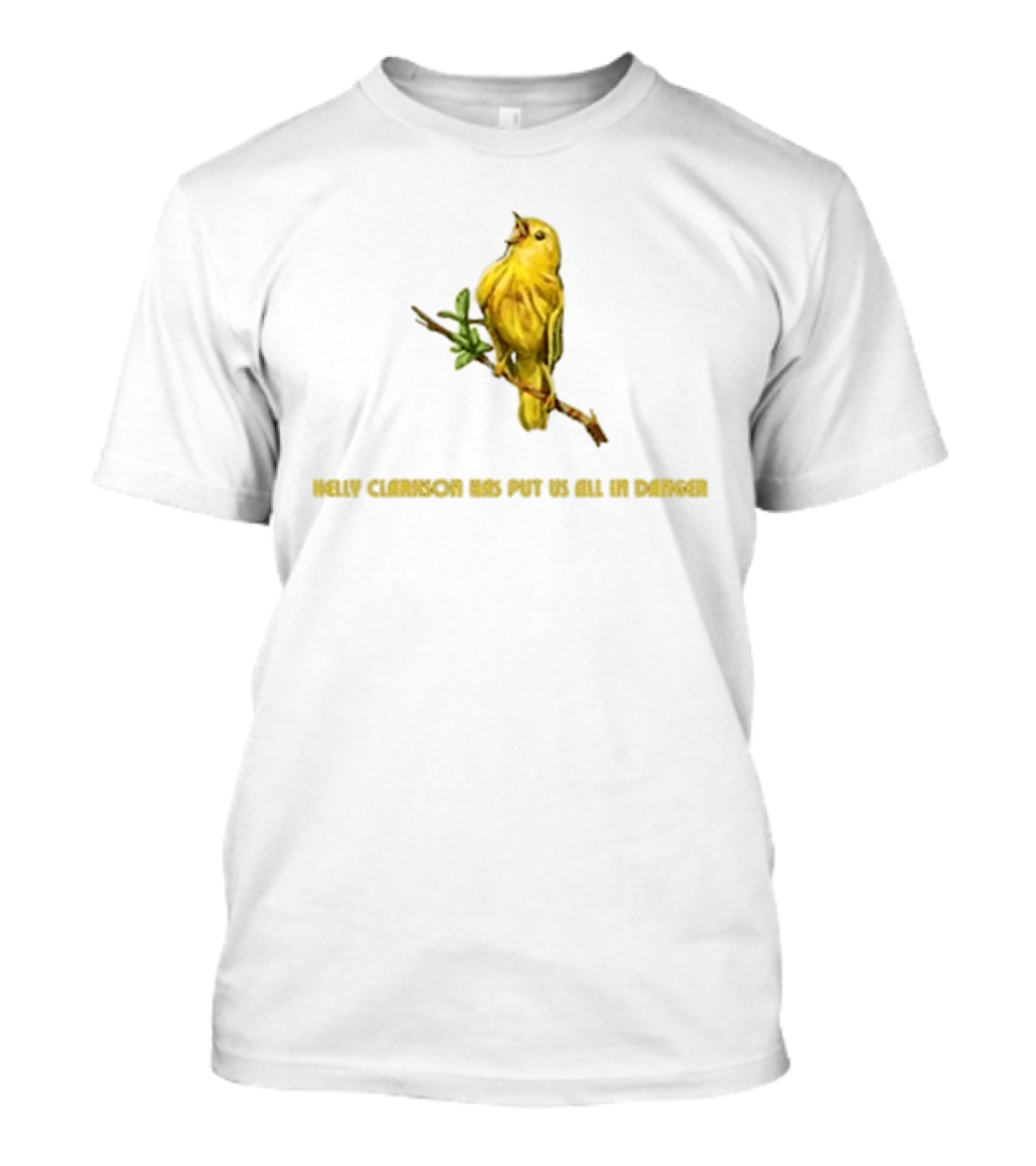 Kelly Clarkson Has Put Us All In Danger Molly Bird T-Shirt